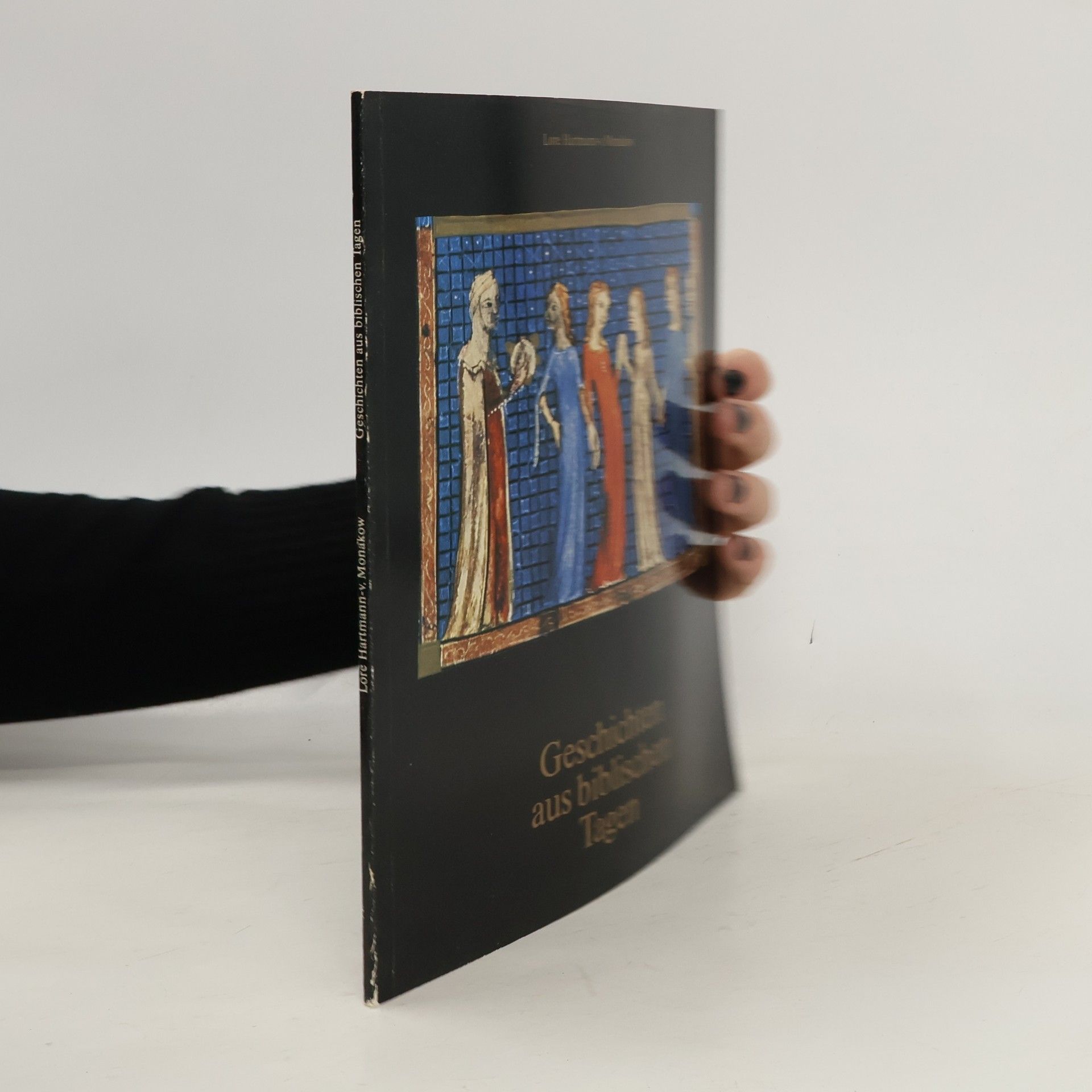 Lore Hartmann-v. Monakow Geschichten aus biblischen Tagen