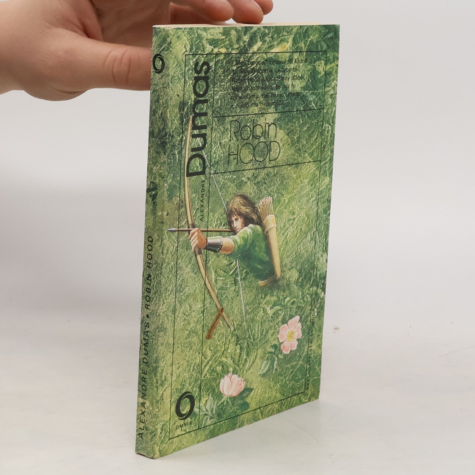 Alexandre Dumas der Ältere Robin Hood