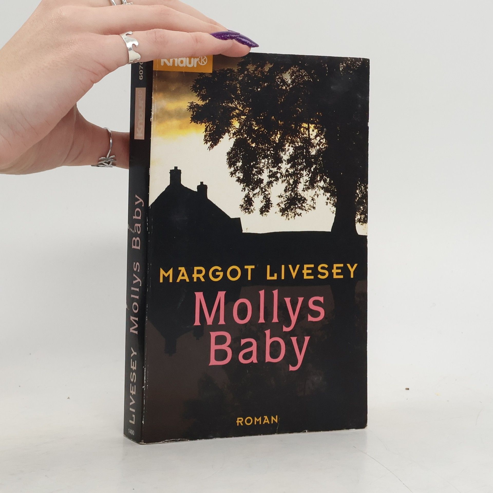 Margot Livesey Mollys Baby