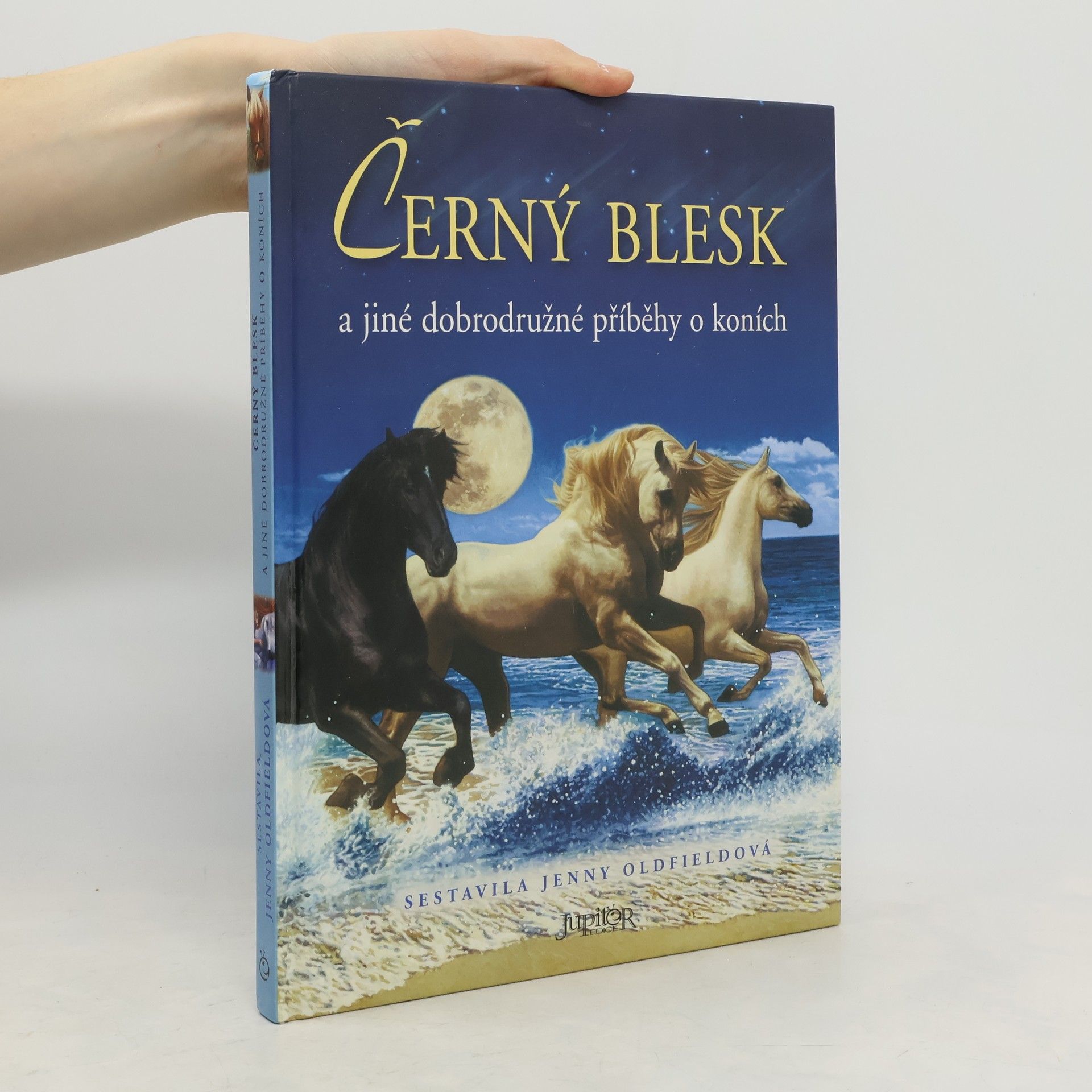 Jenny Oldfield Černý blesk a jiné dobrodružné příběhy o koních