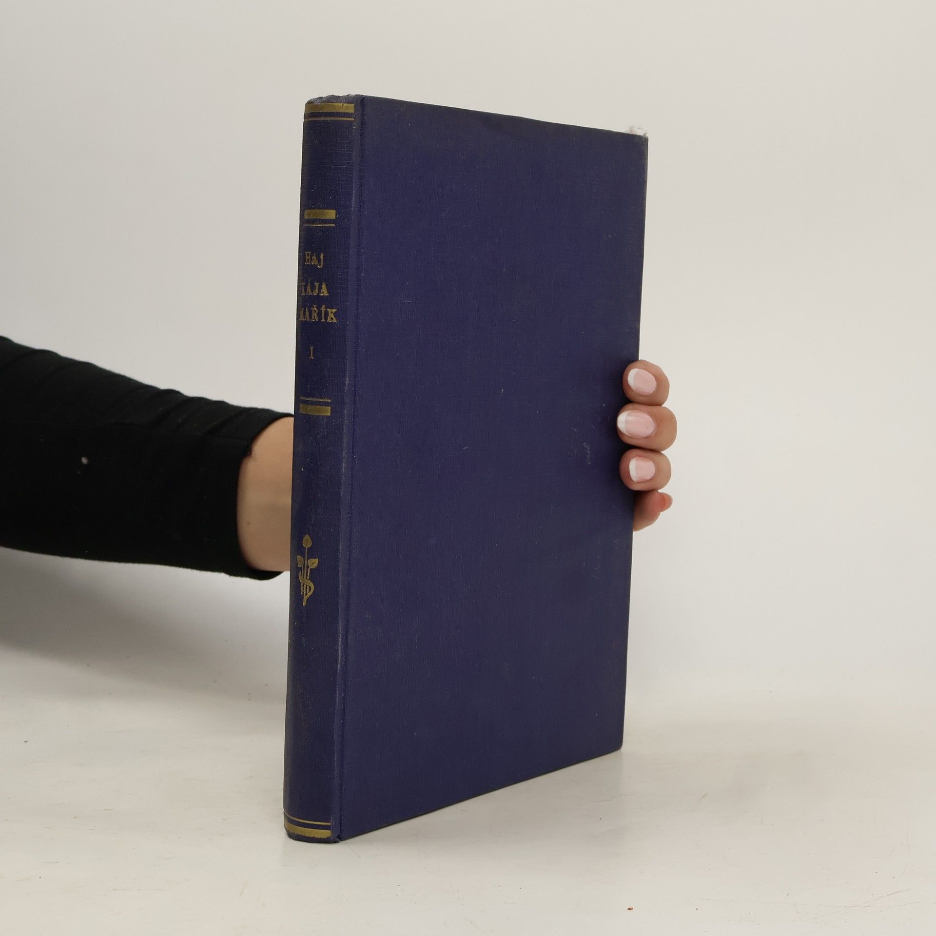 Felix Háj Školák Kája Mařík I.