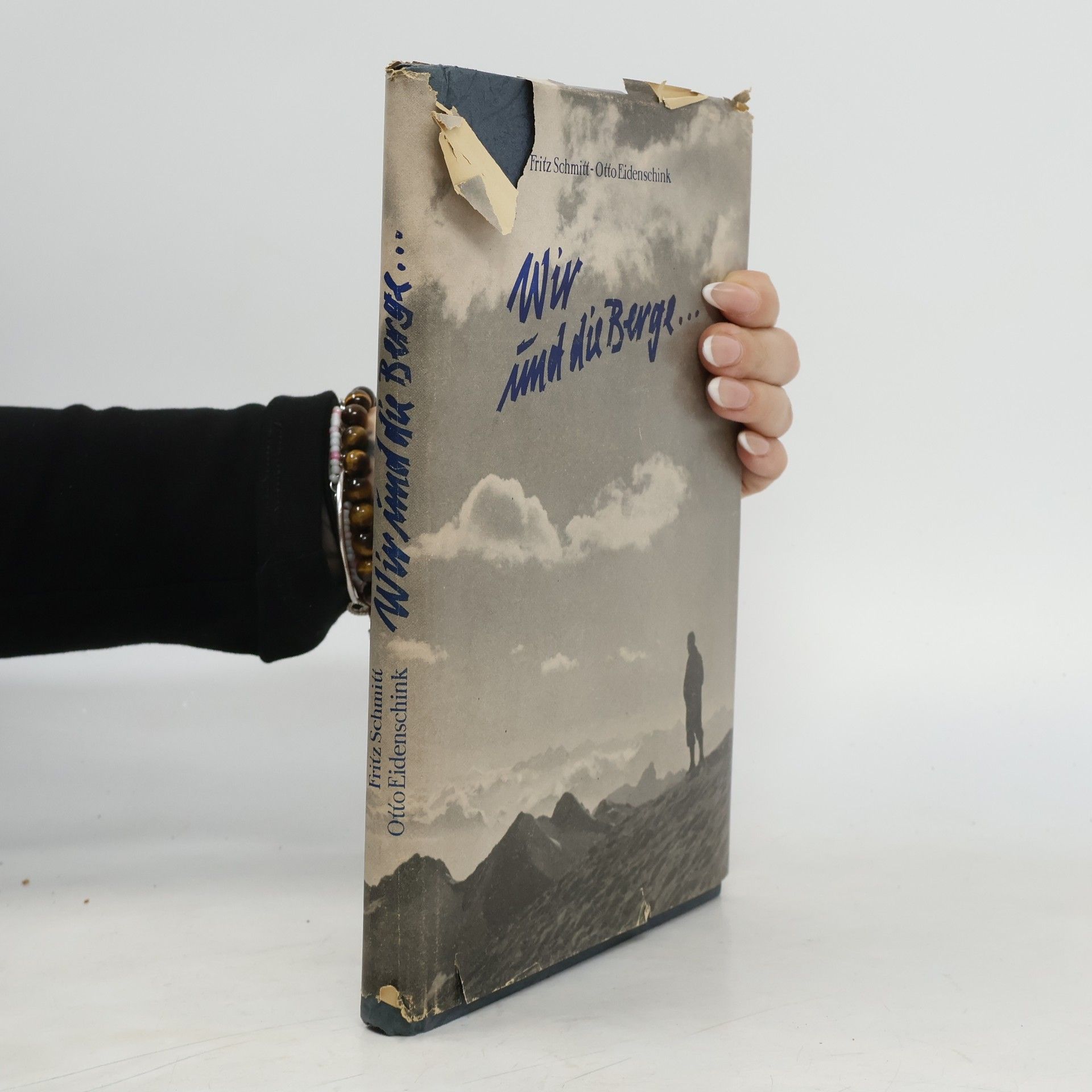 Fritz Schmitt Wir und die Berge