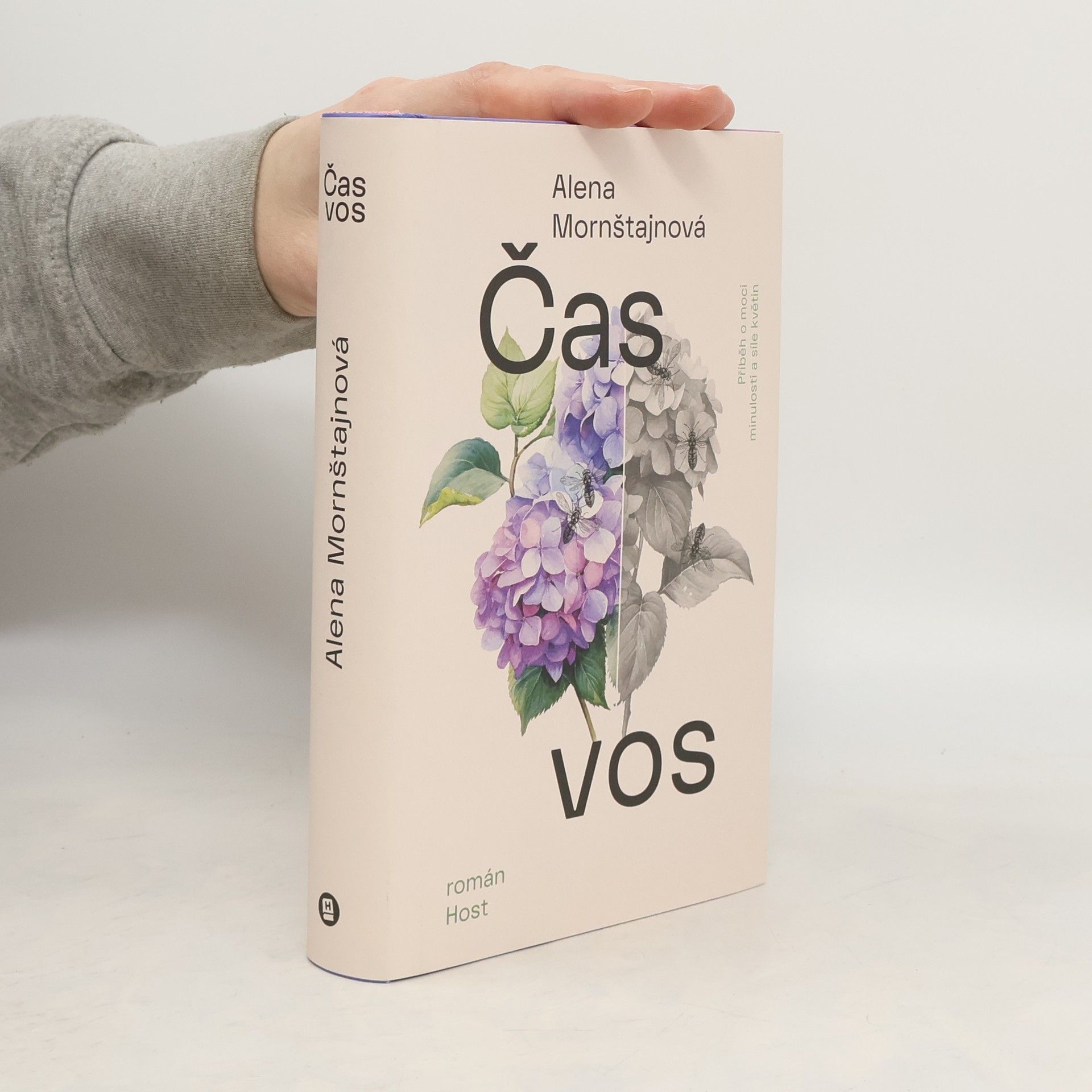 Alena Mornštajnová Čas vos