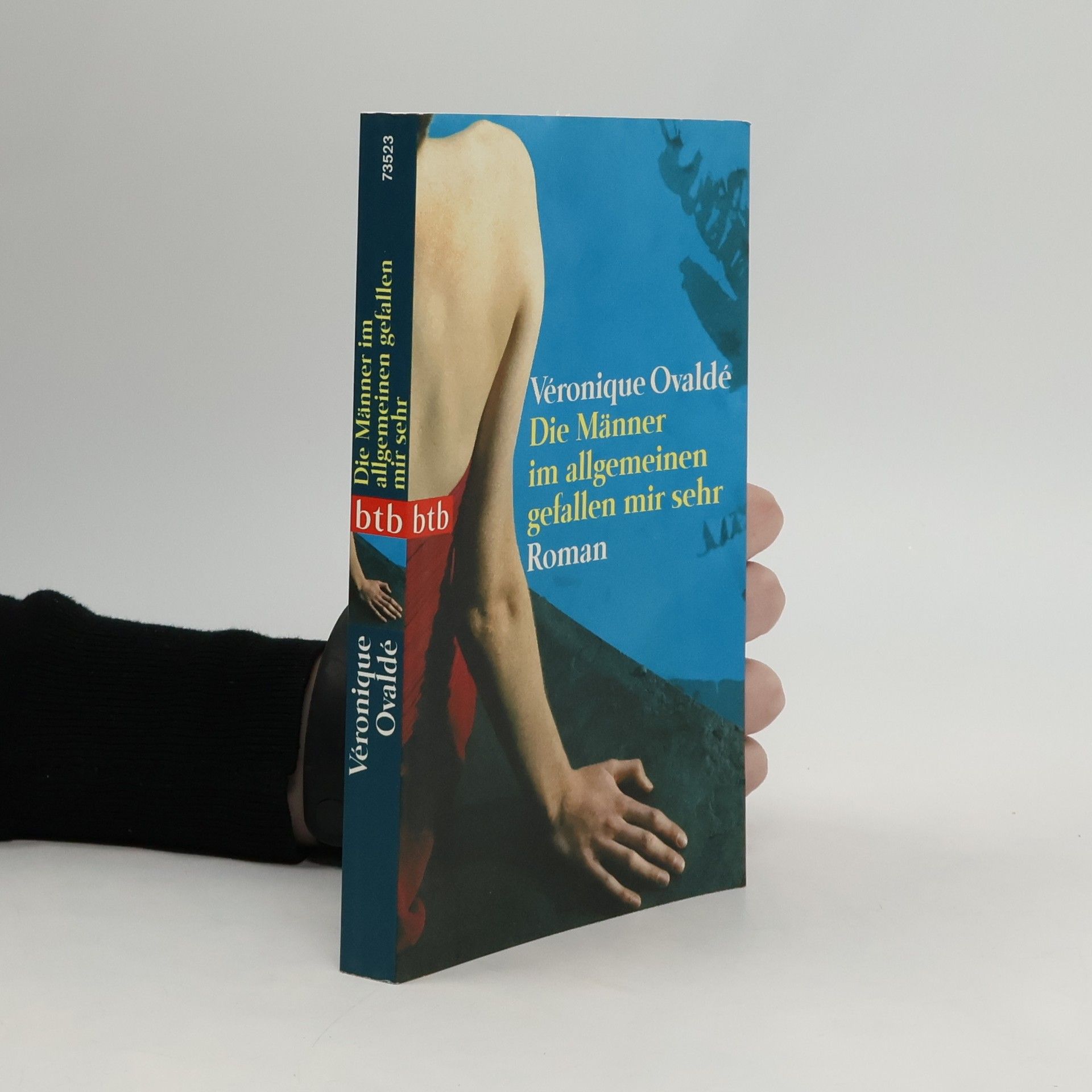 Véronique Ovaldé Die Männer im allgemeinen gefallen mir sehr