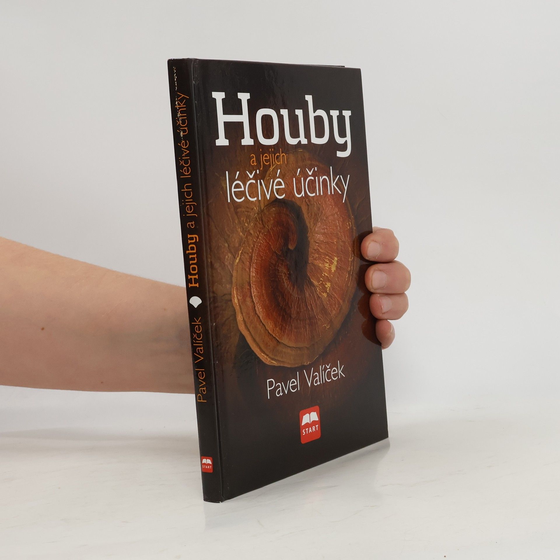 Houby a jejich léčivé účinky