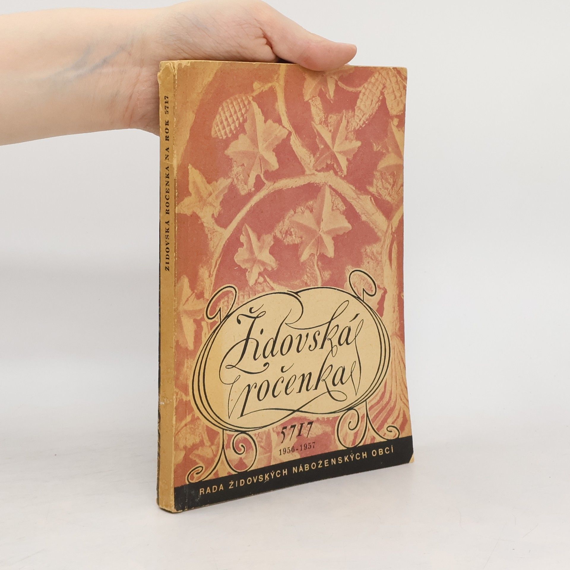 Autorenkollektiv Židovská ročenka na rok 5717