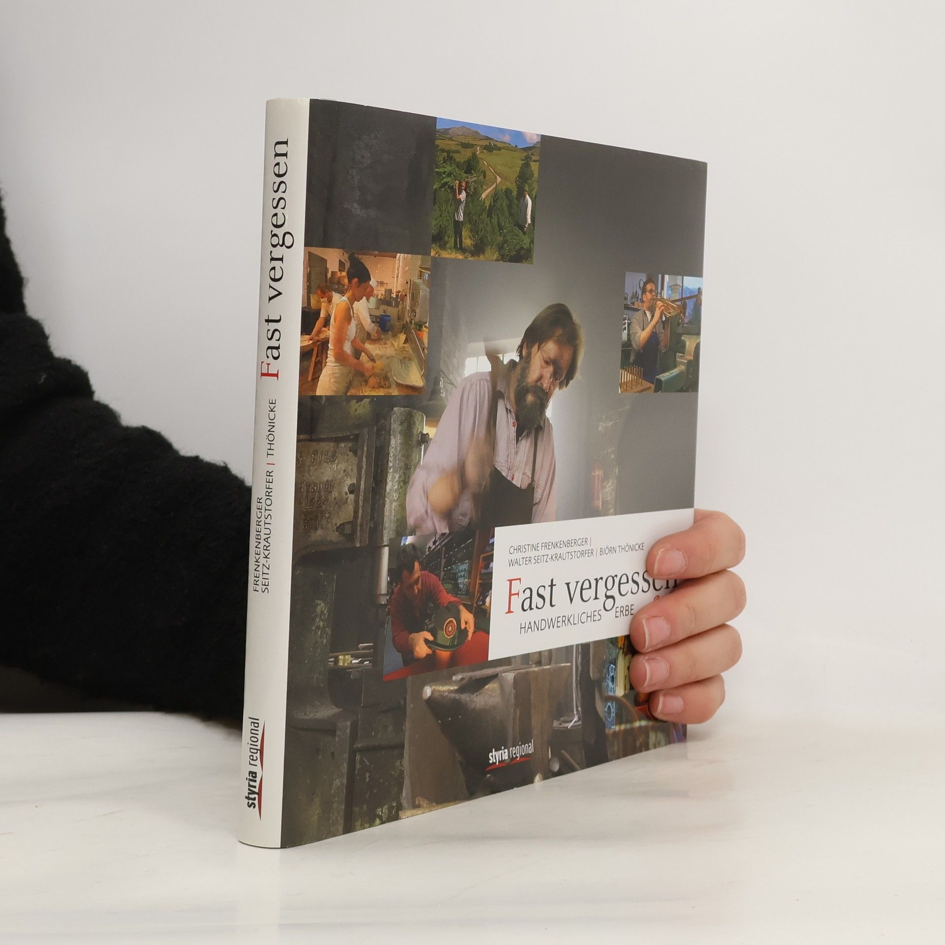 Christine Frenkenberger Fast vergessen