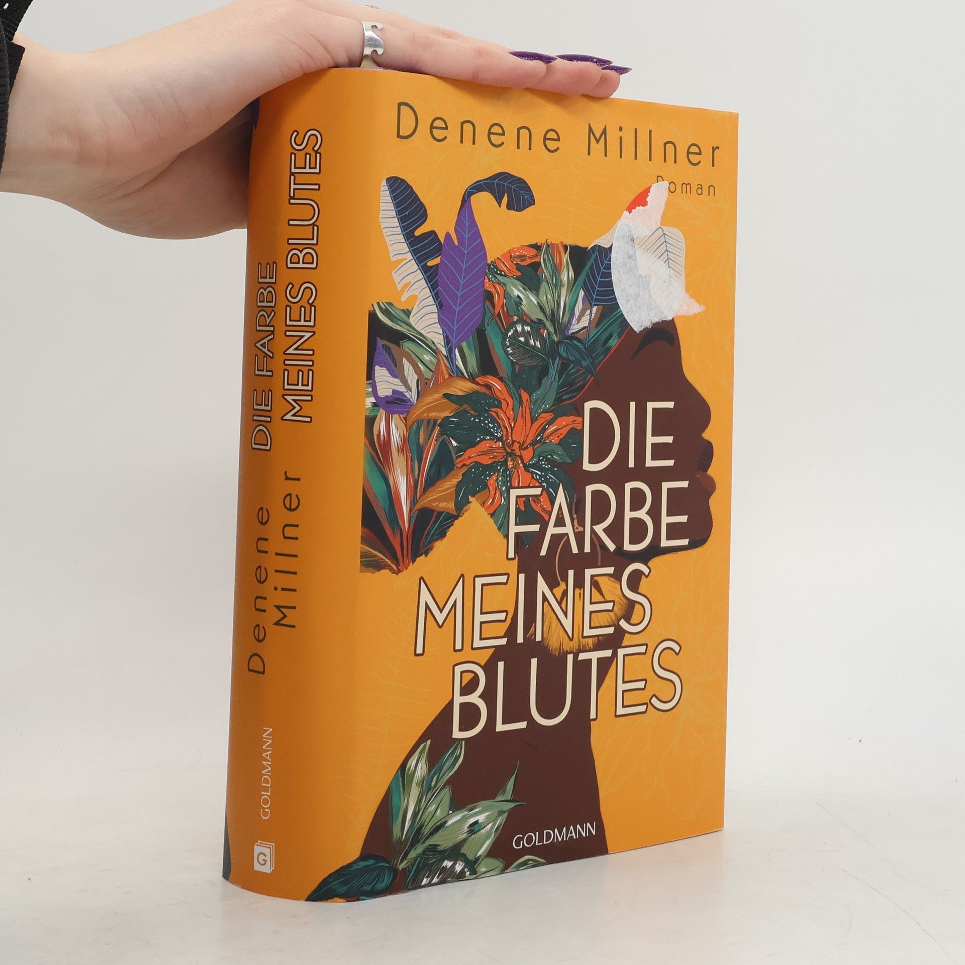 Denene Millner Die Farbe meines Blutes