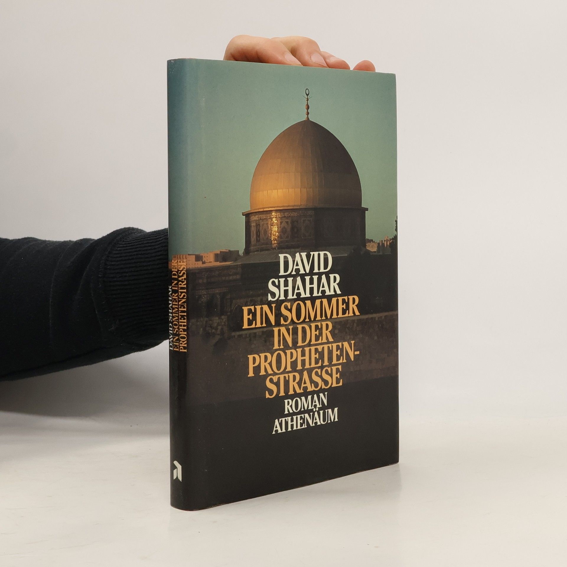 Ein Sommer in der Prophetenstraße