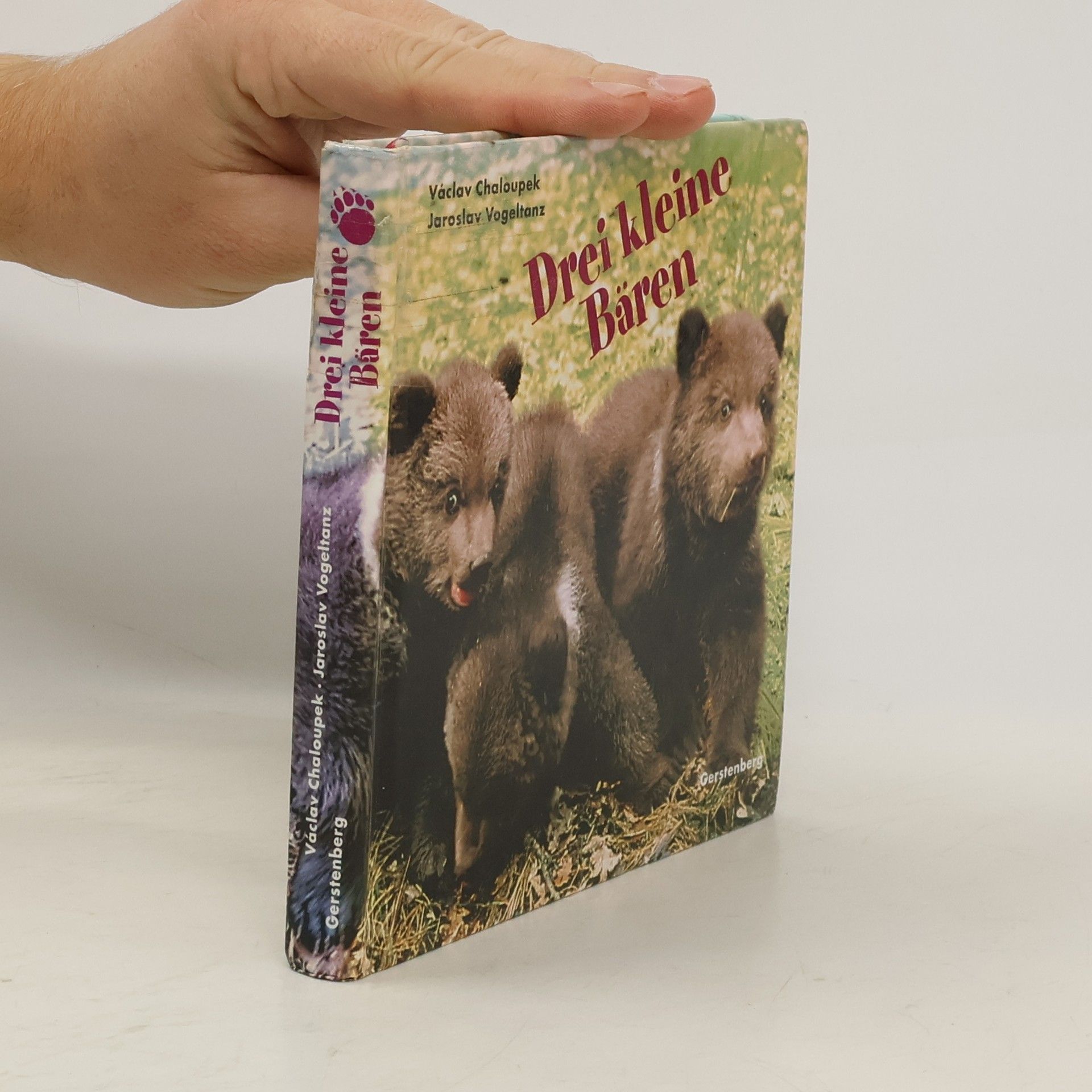 Drei kleine Bären