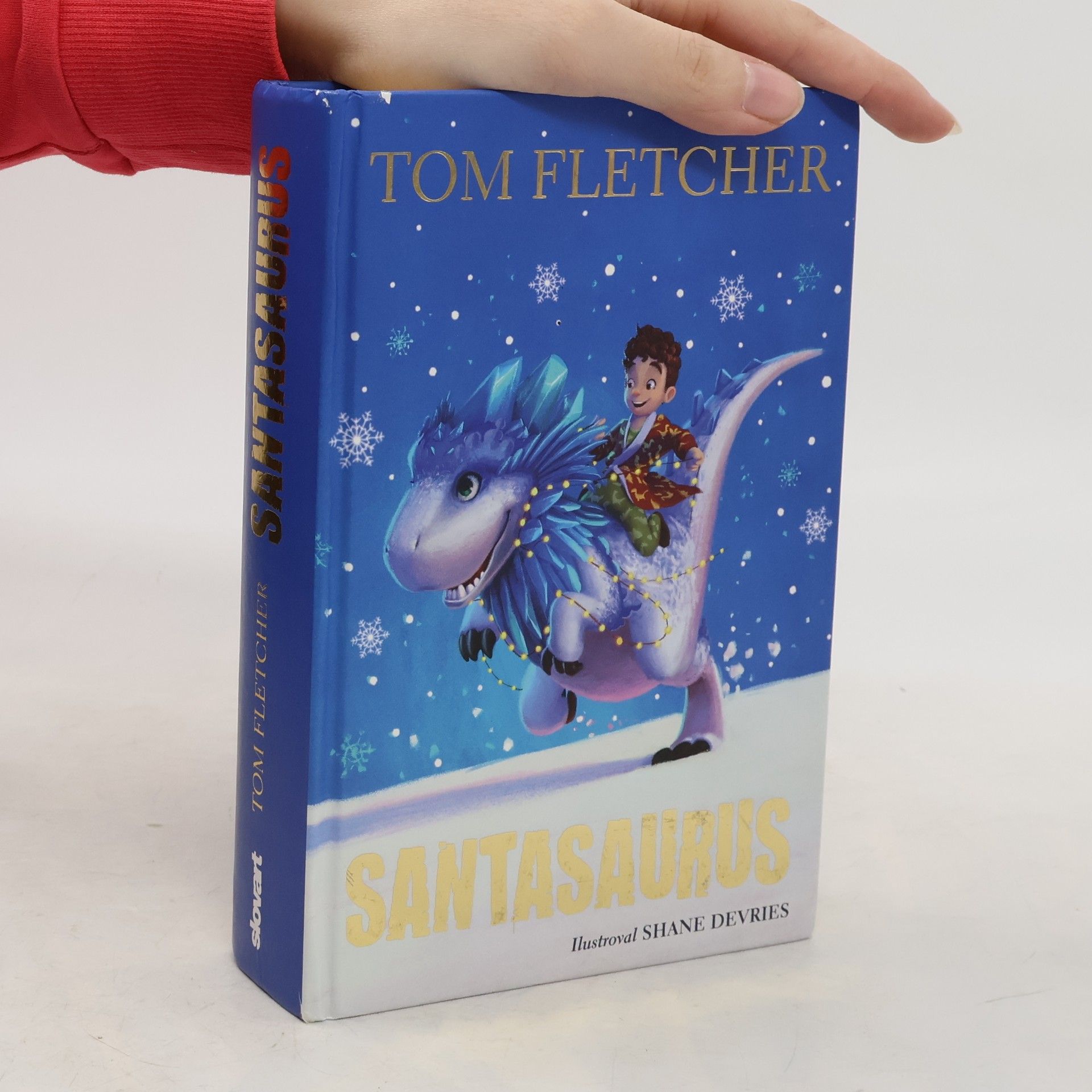 Tom Fletcher Santasaurus