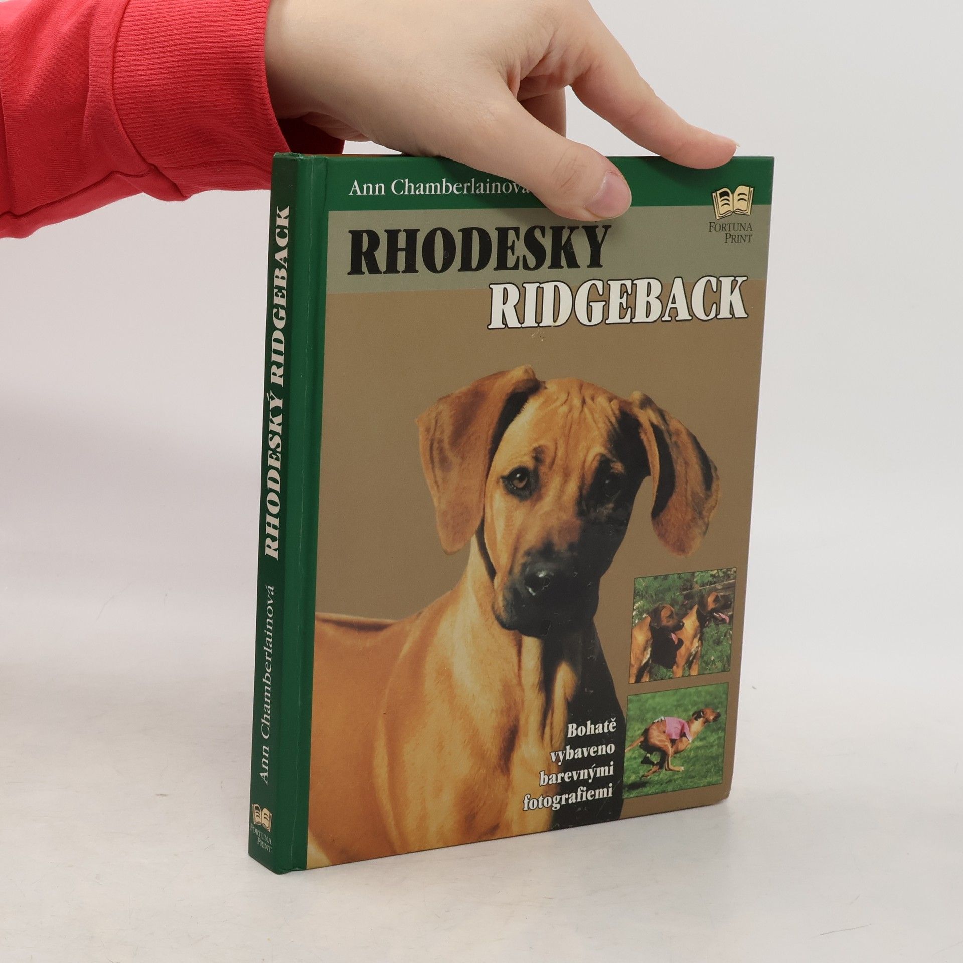 Ann Chamberlain Rhodeský ridgeback