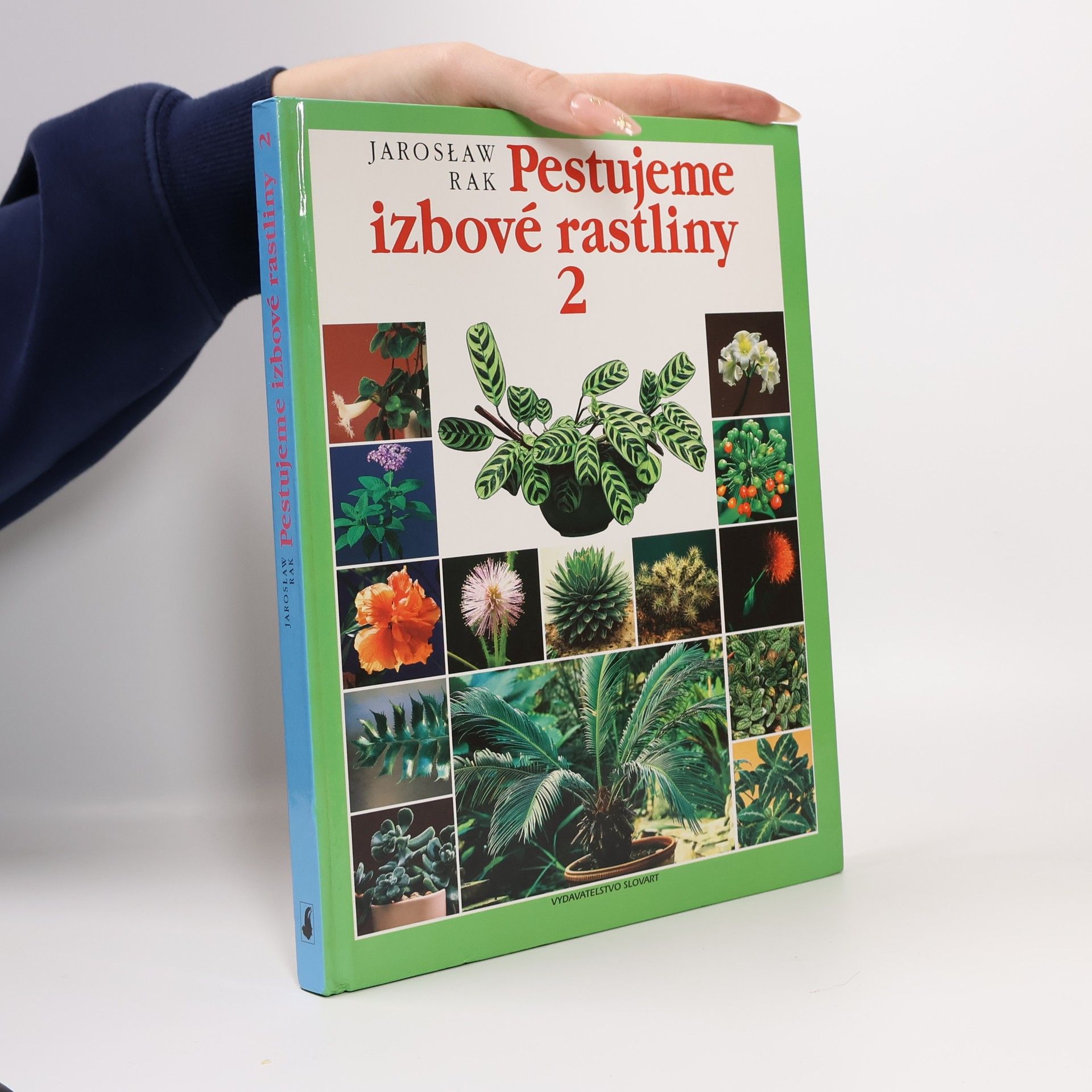 Jarosław Rak Pestujeme izbové rastliny 2