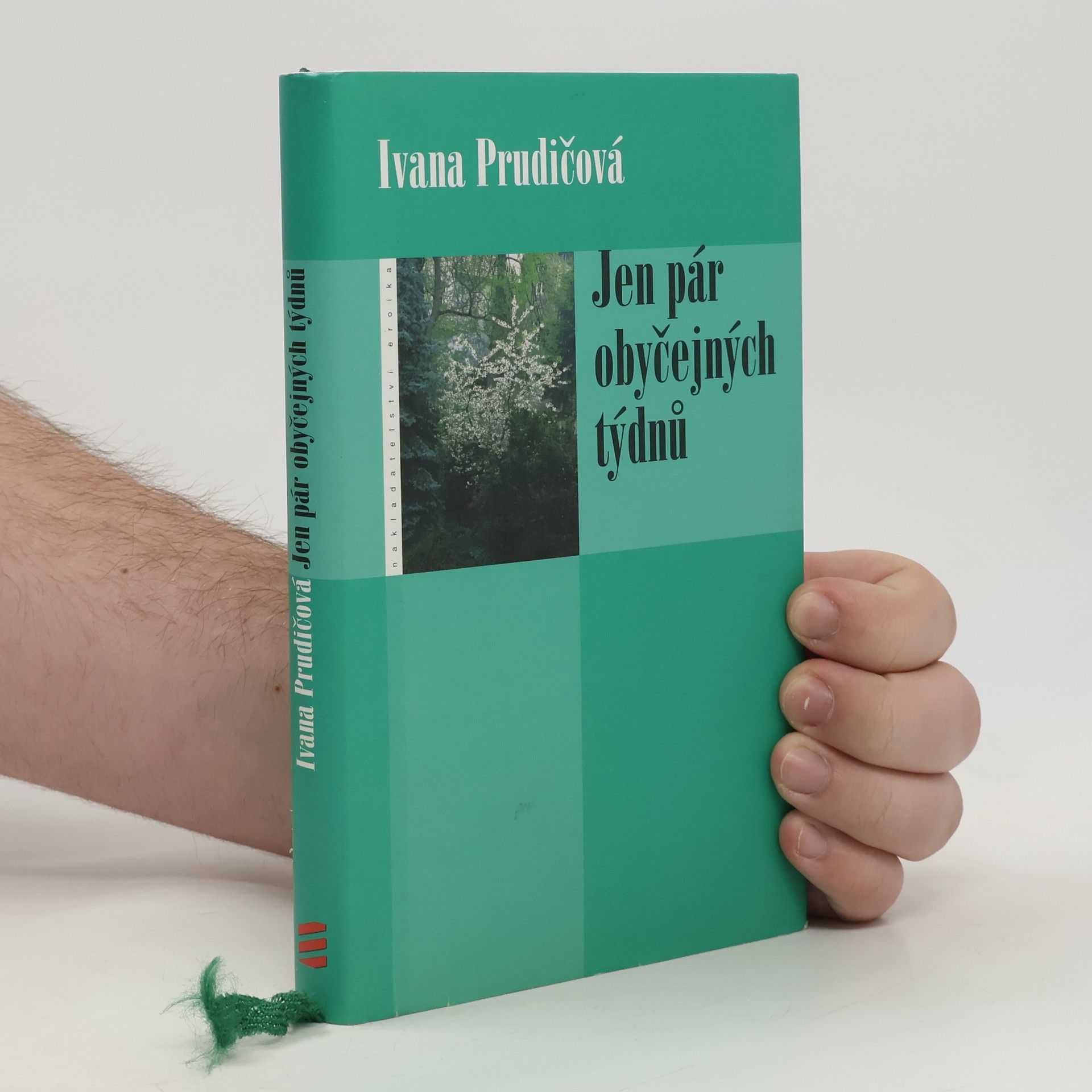 Ivana Prudičová Jen pár obyčejných týdnů