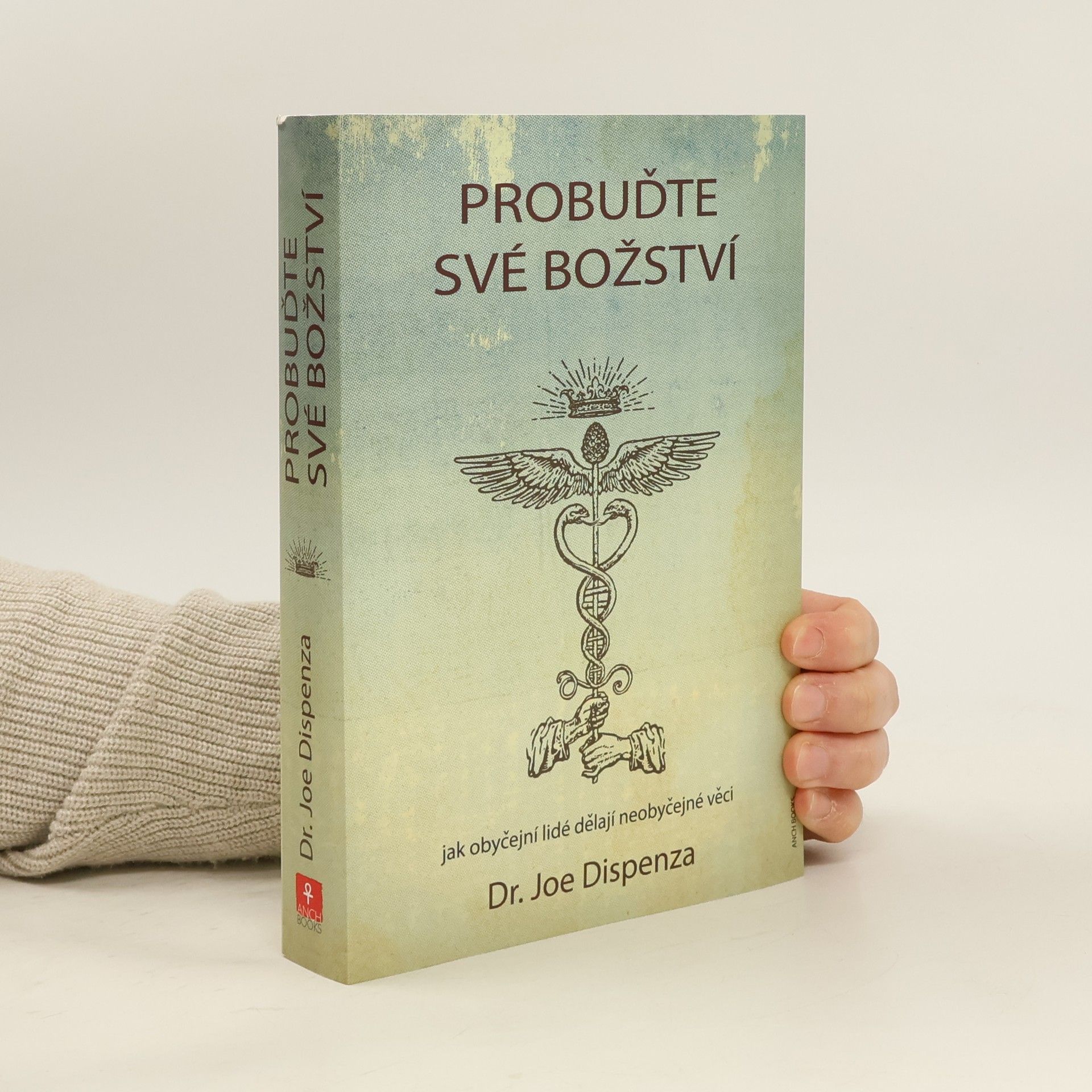 Probuďte své božství : jak obyčejní lidé dělají neobyčejné věci