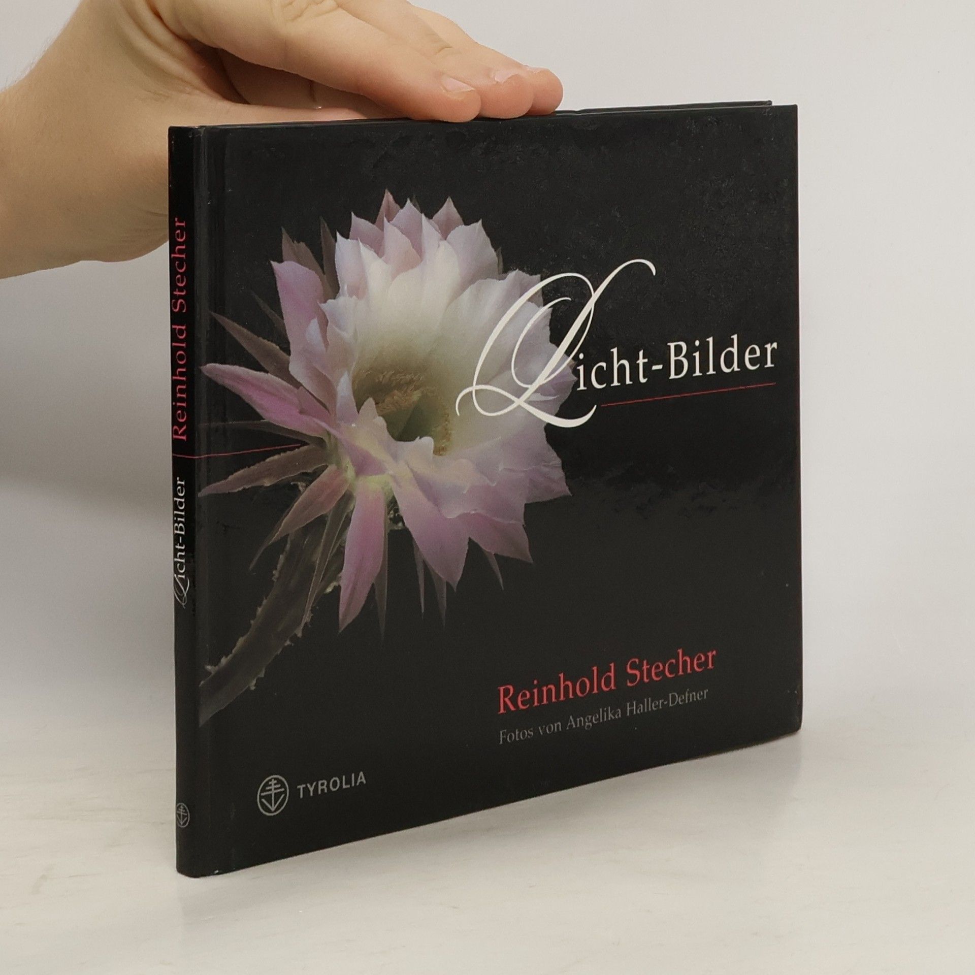 Reinhold Stecher Licht-Bilder