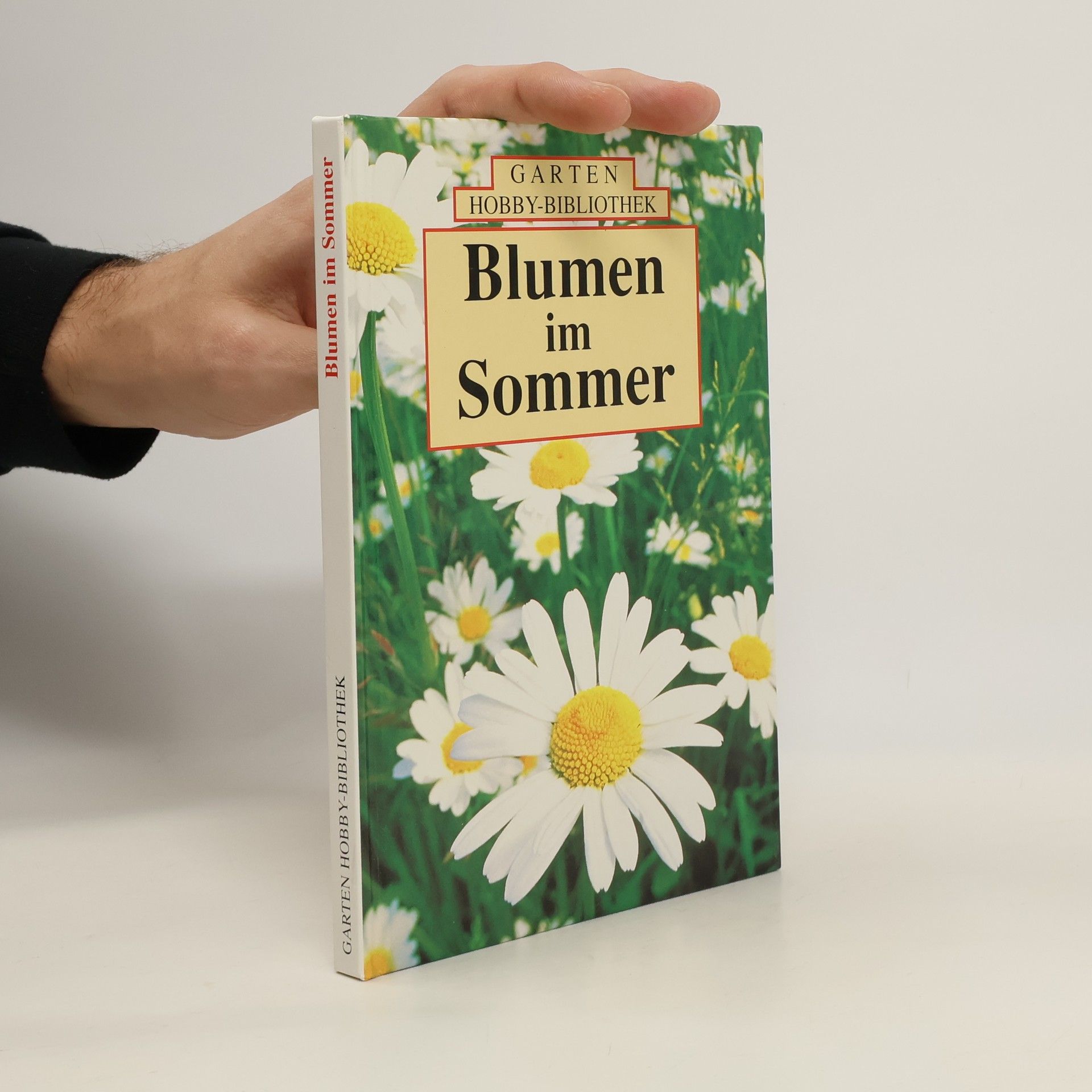 Ute York Blumen im Sommer
