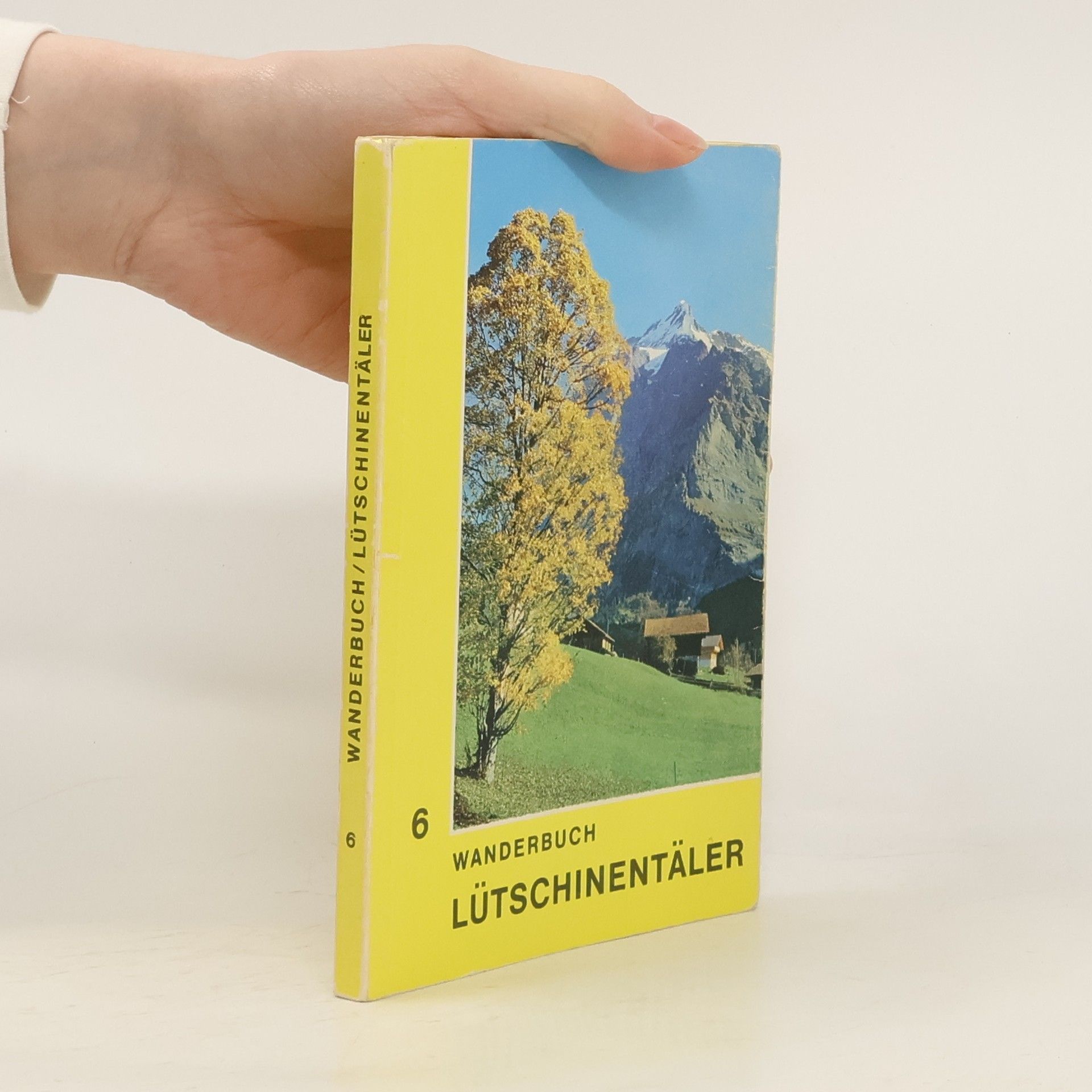 Autorenkollektiv Wanderbuch / Lütschinentäler 6
