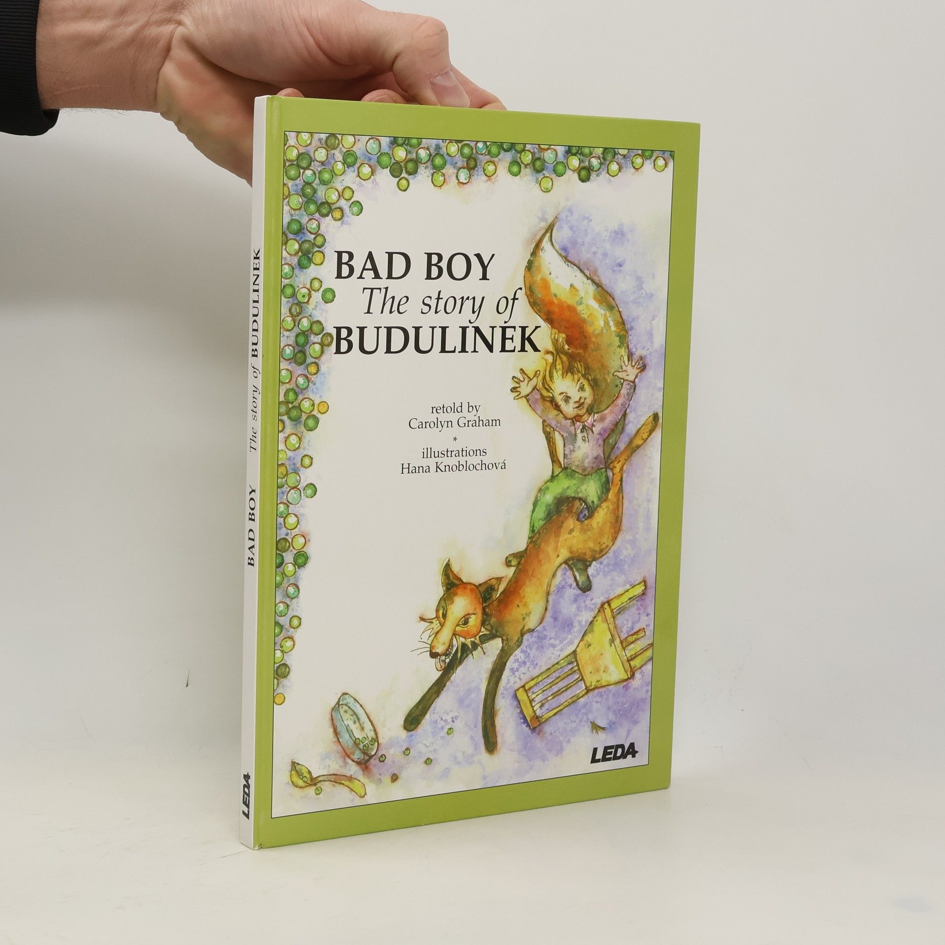 Carolyn Graham Bad boy : the story of Budulinek