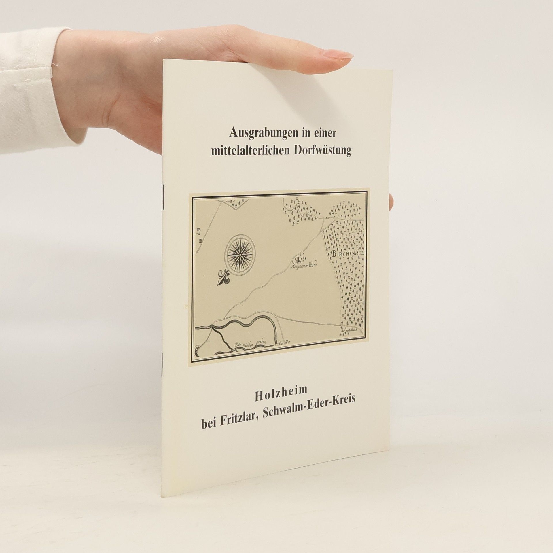 Autorenkollektiv Ausgrabungen in einer mittelalterlichen Dorfwüstung. Holzheim bei Fritzlar, Schwalm-Eder-Kreis