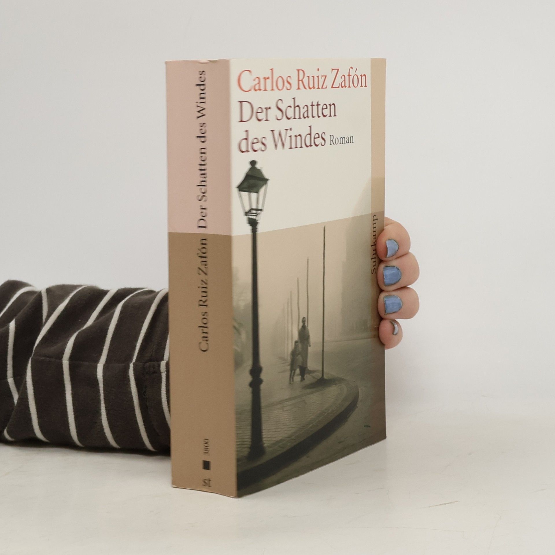 Der Schatten des Windes