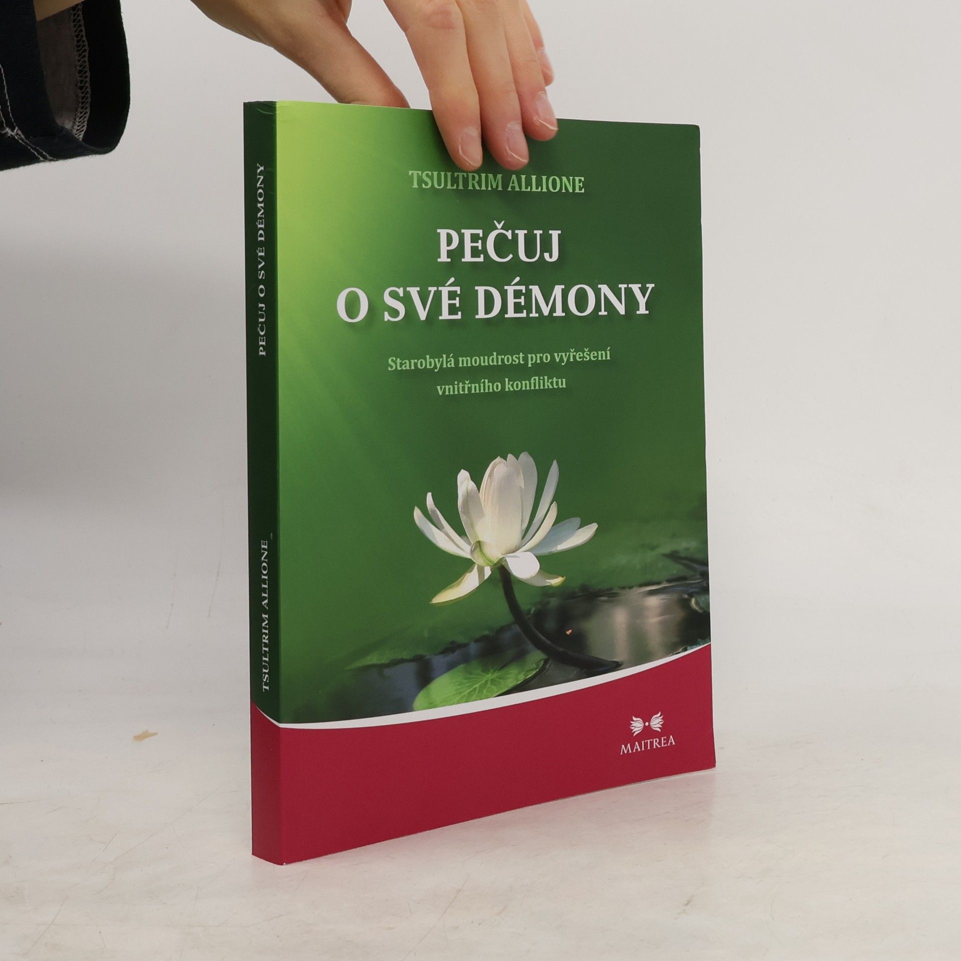 Tsultrim Allione Pečuj o své démony. Starobylá moudrost pro vyřešení vnitřního konfliktu