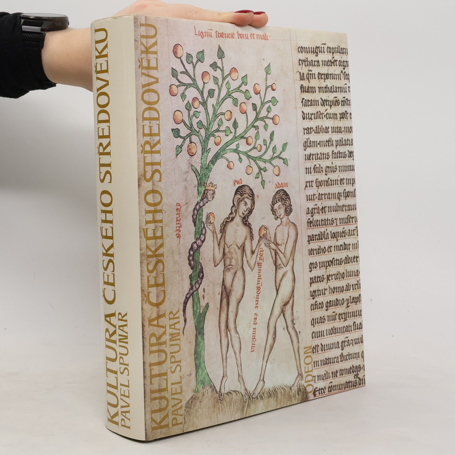 Pavel Spunar Kultura českého středověku