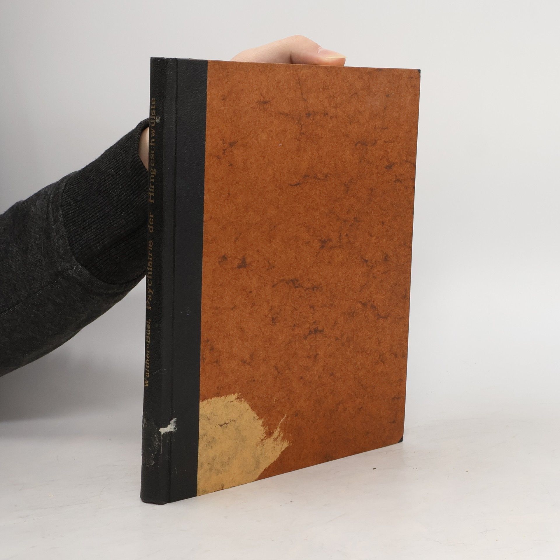 Die Psychiatrie der Hirngeschwülste und die cerebralen Grundlagen psychischer Vorgänge