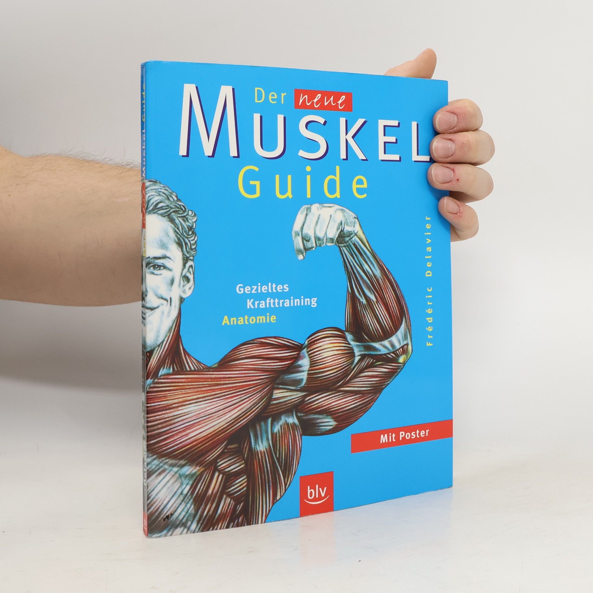 Der neue Muskel-Guide
