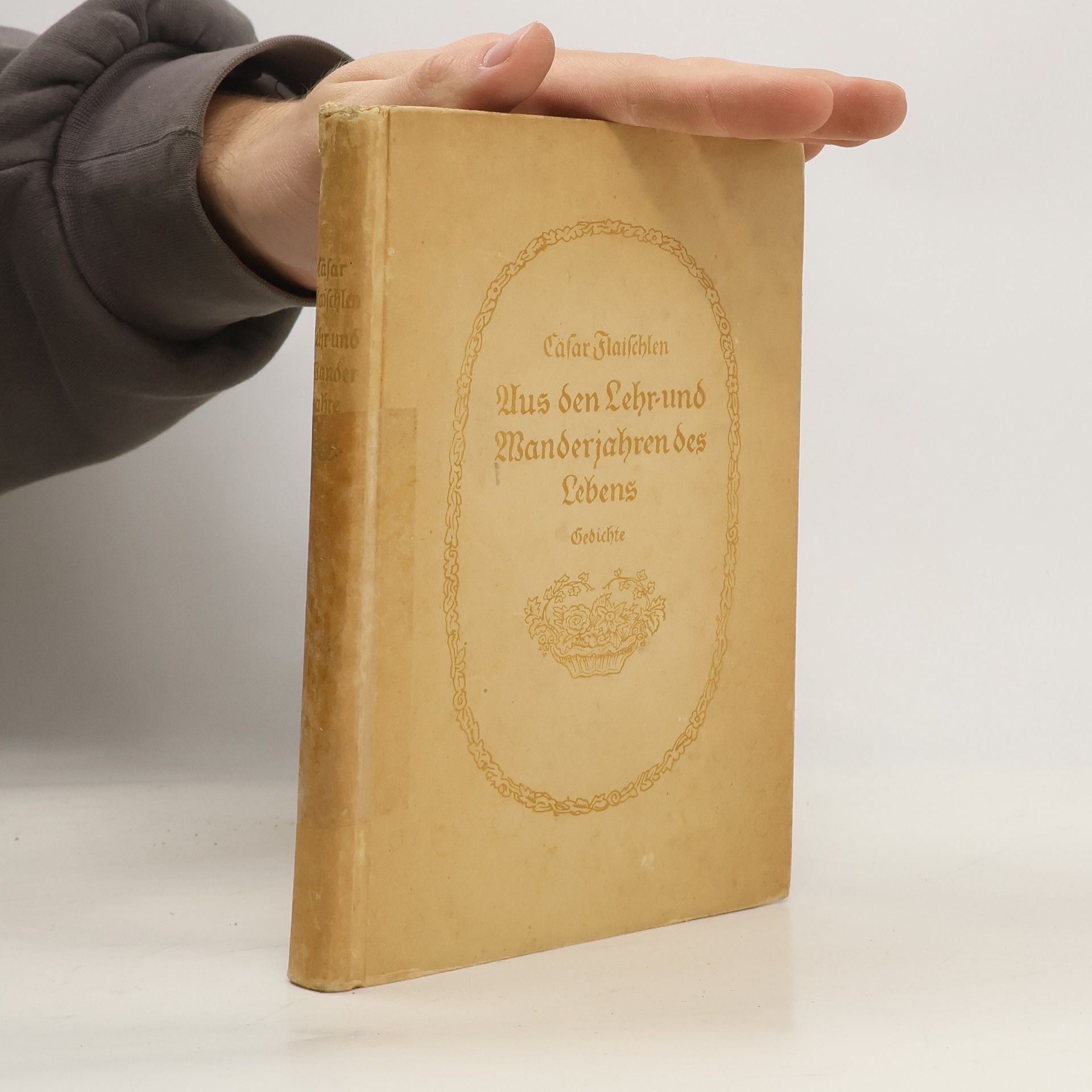 Aus den Lehr und Manderjahren des Lebens