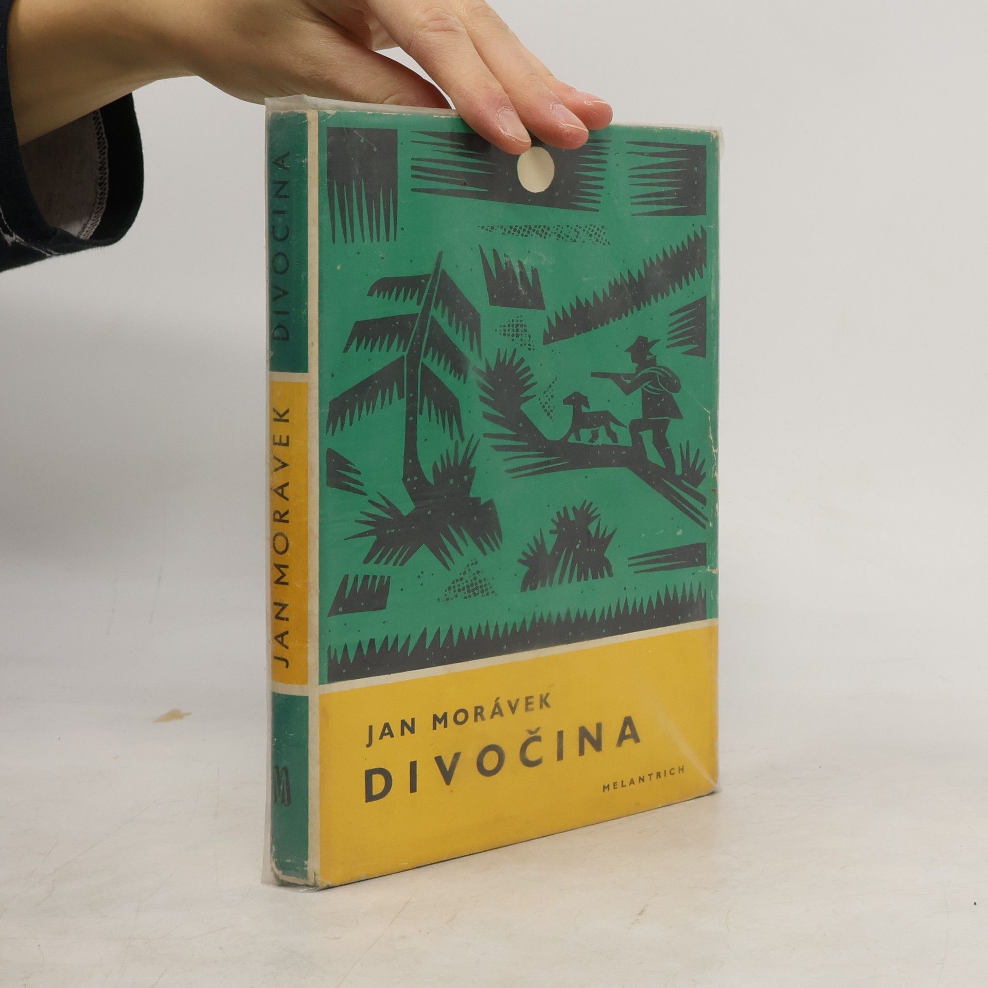 Jan Morávek Divočina
