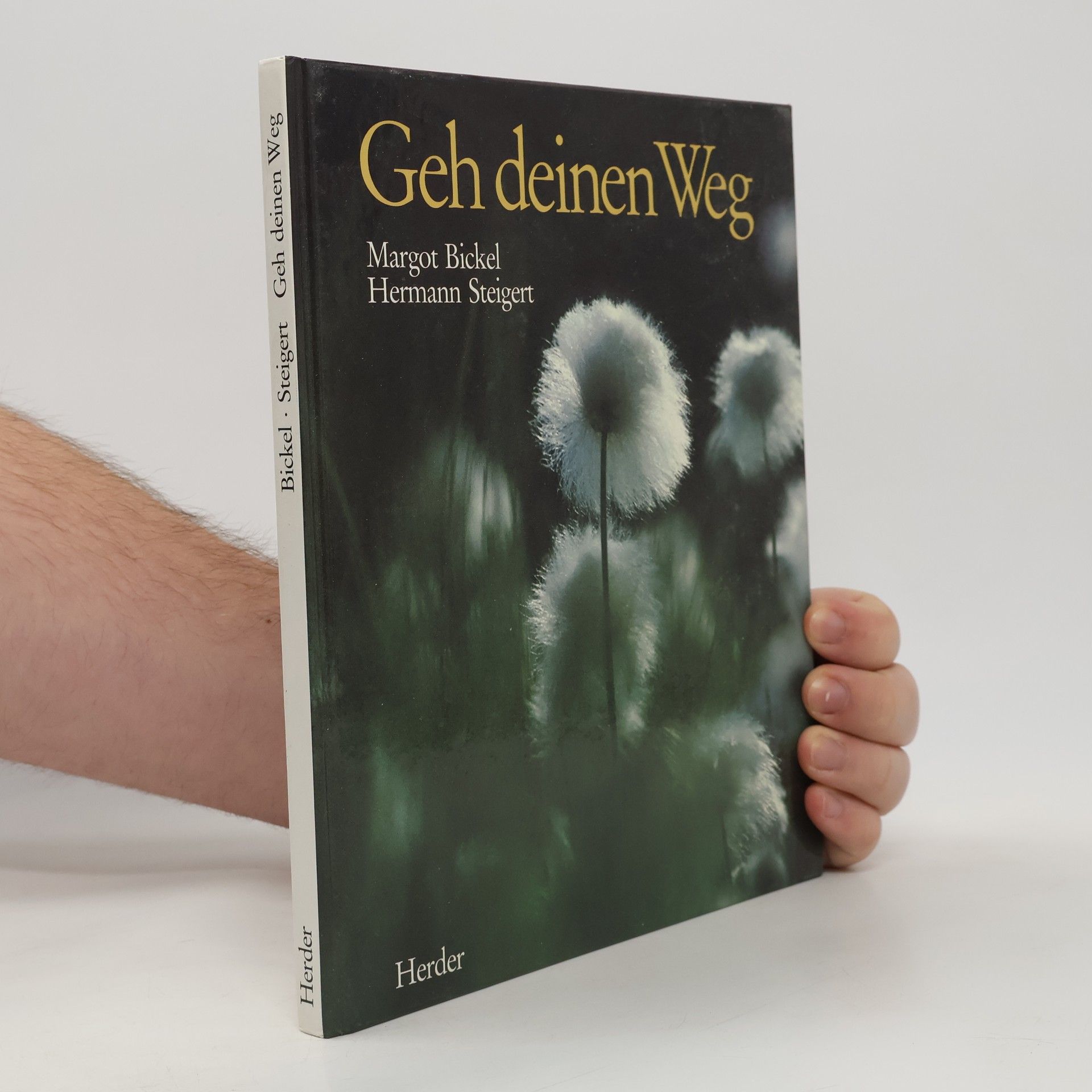 Margot Bickel Geh deinen Weg