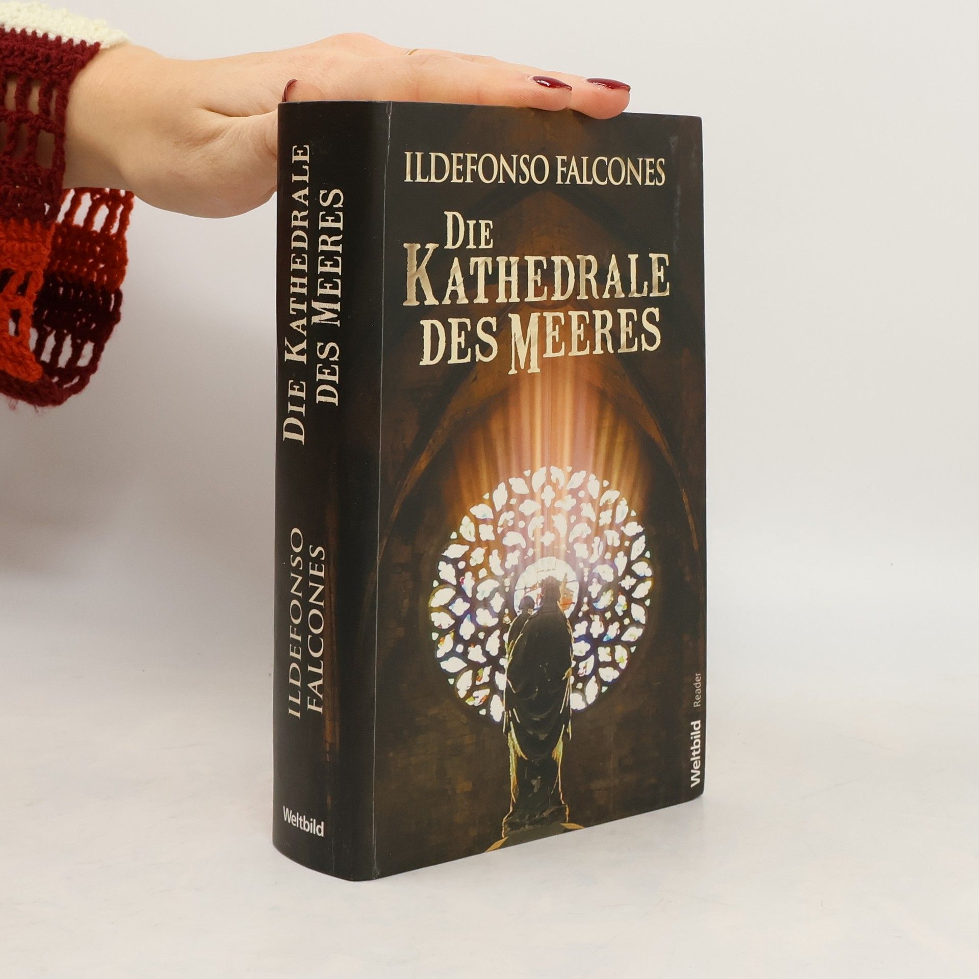 Ildefonso Falcones Die Kathedrale des Meeres