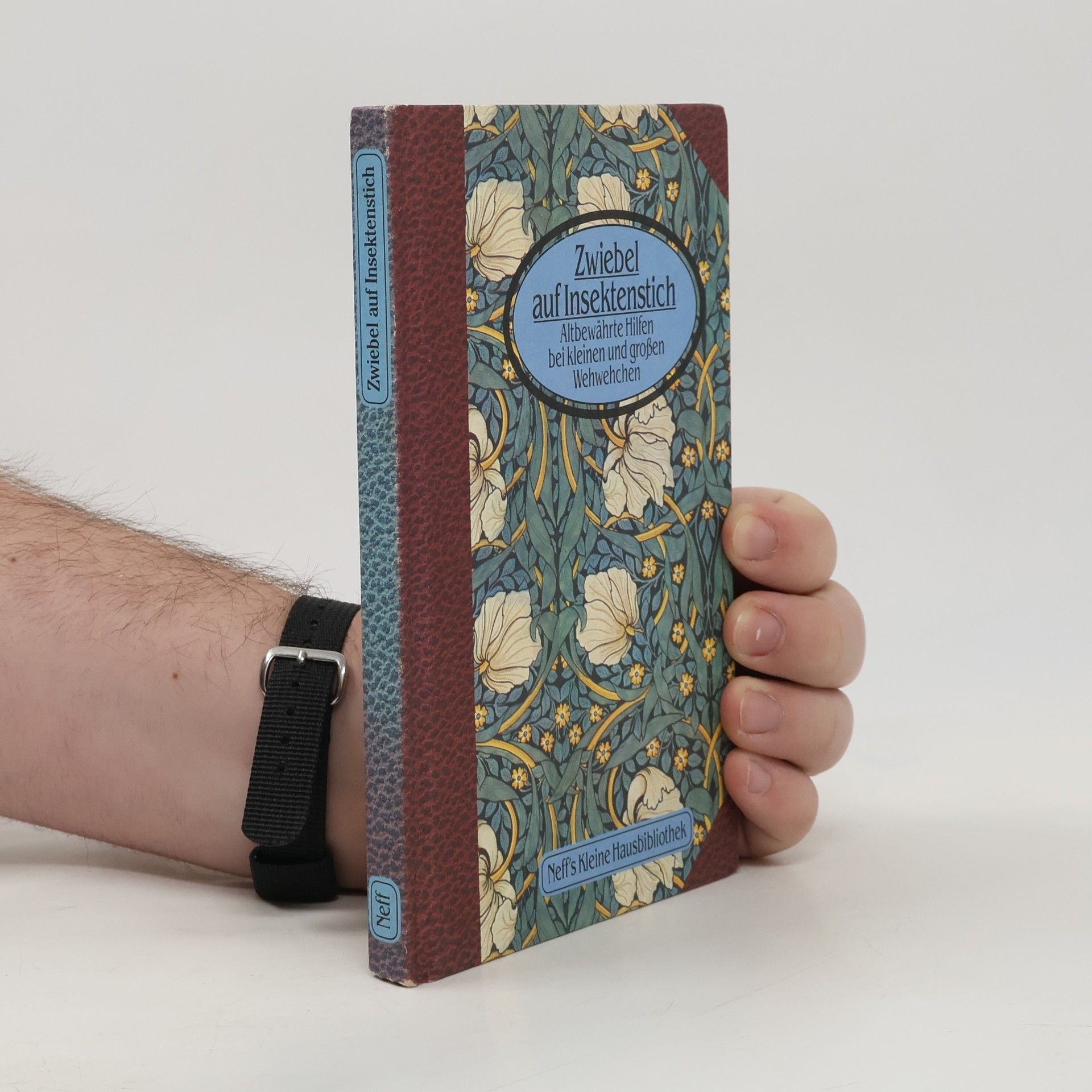 Autorenkollektiv Zwiebel auf Insektenstich