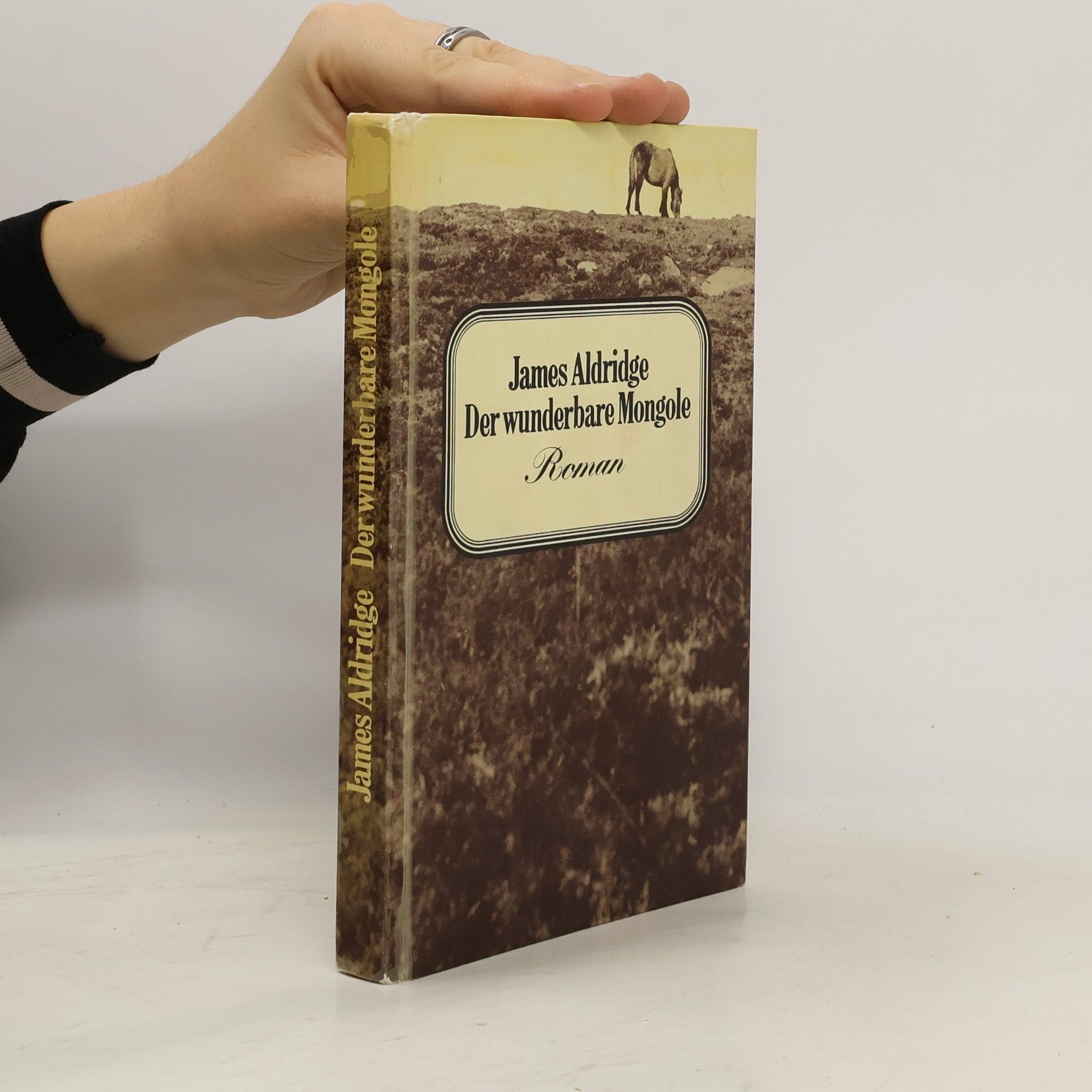 James Aldridge Der wunderbare Mongole