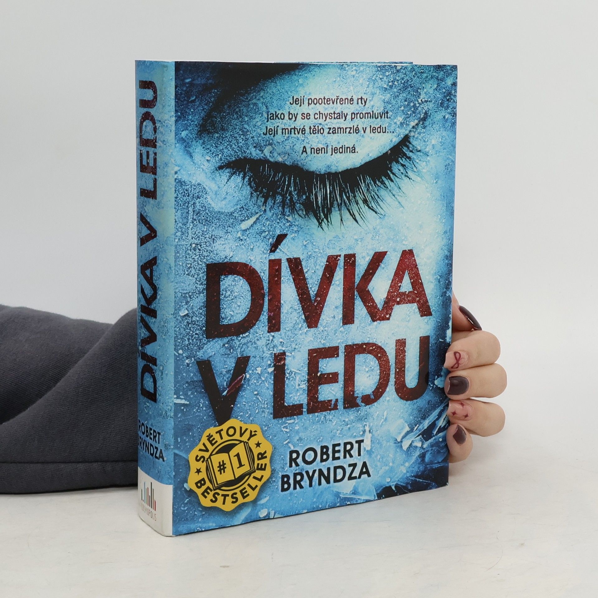 Robert Bryndza Dívka v ledu