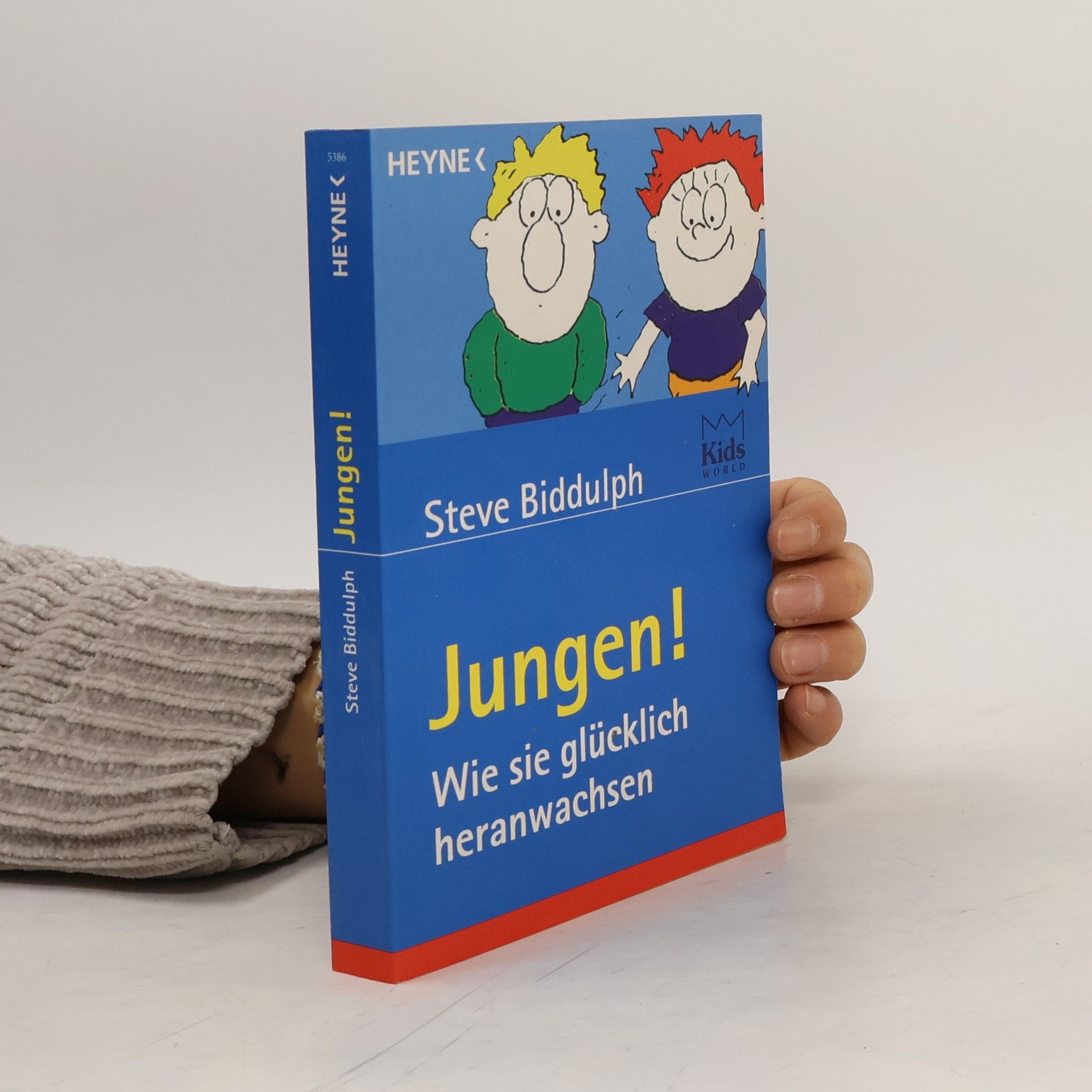 Steve Biddulph Jungen. Wie sie glücklich heranwachsen
