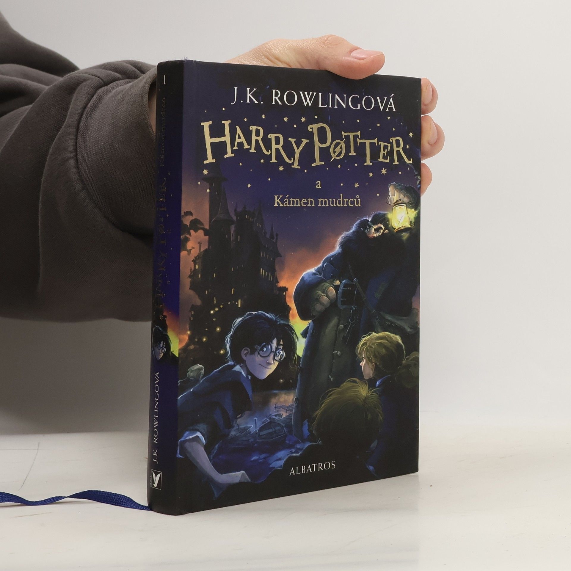 Harry Potter a kámen mudrců