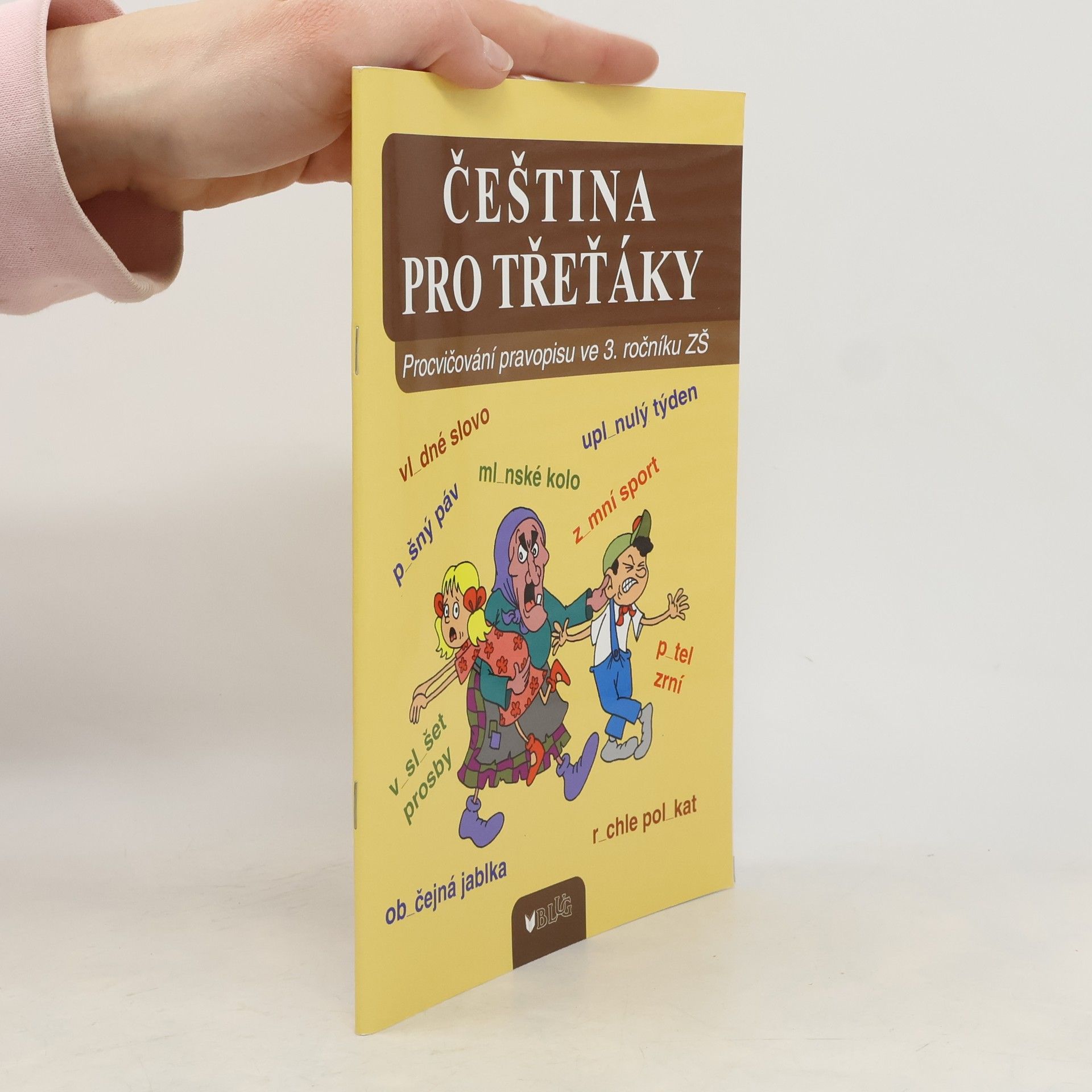 Autorenkollektiv Čeština pro třeťáky