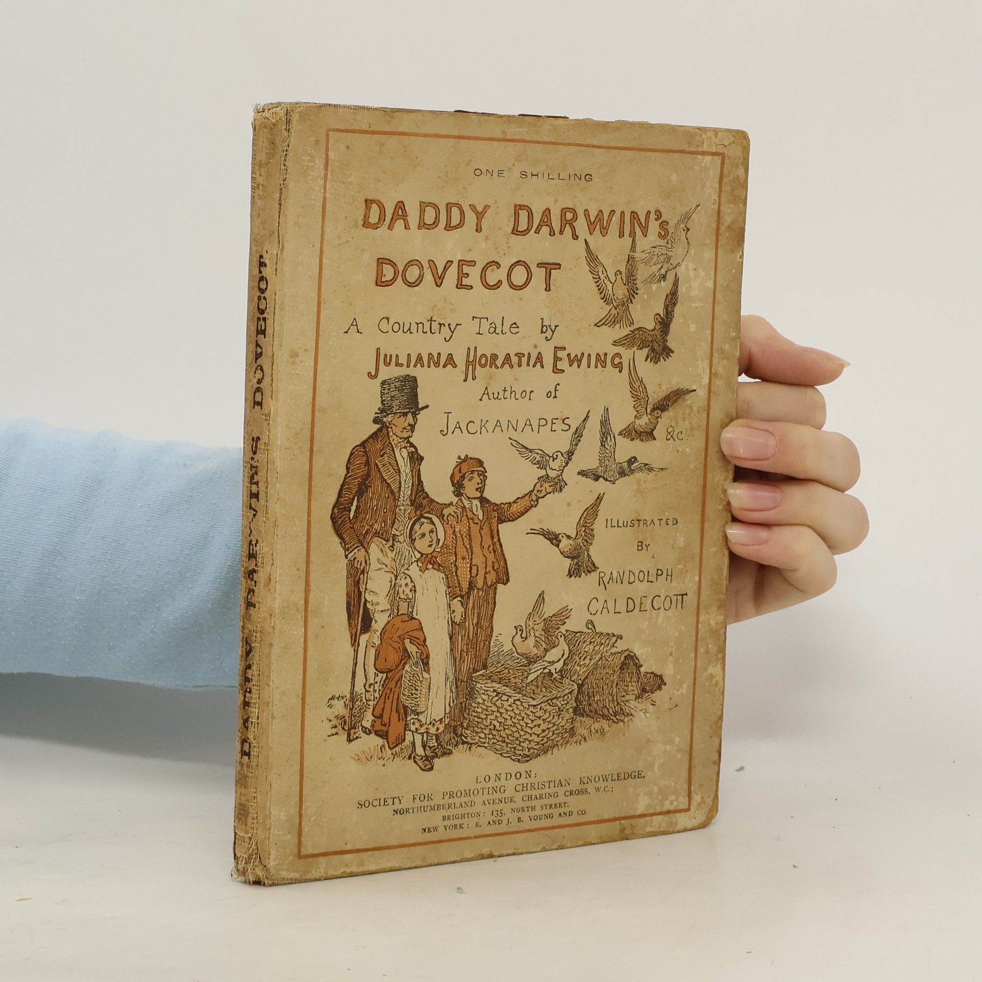 Daddy Darwins Dovecot; a Country Tale by Juliana Horatia Ewing
