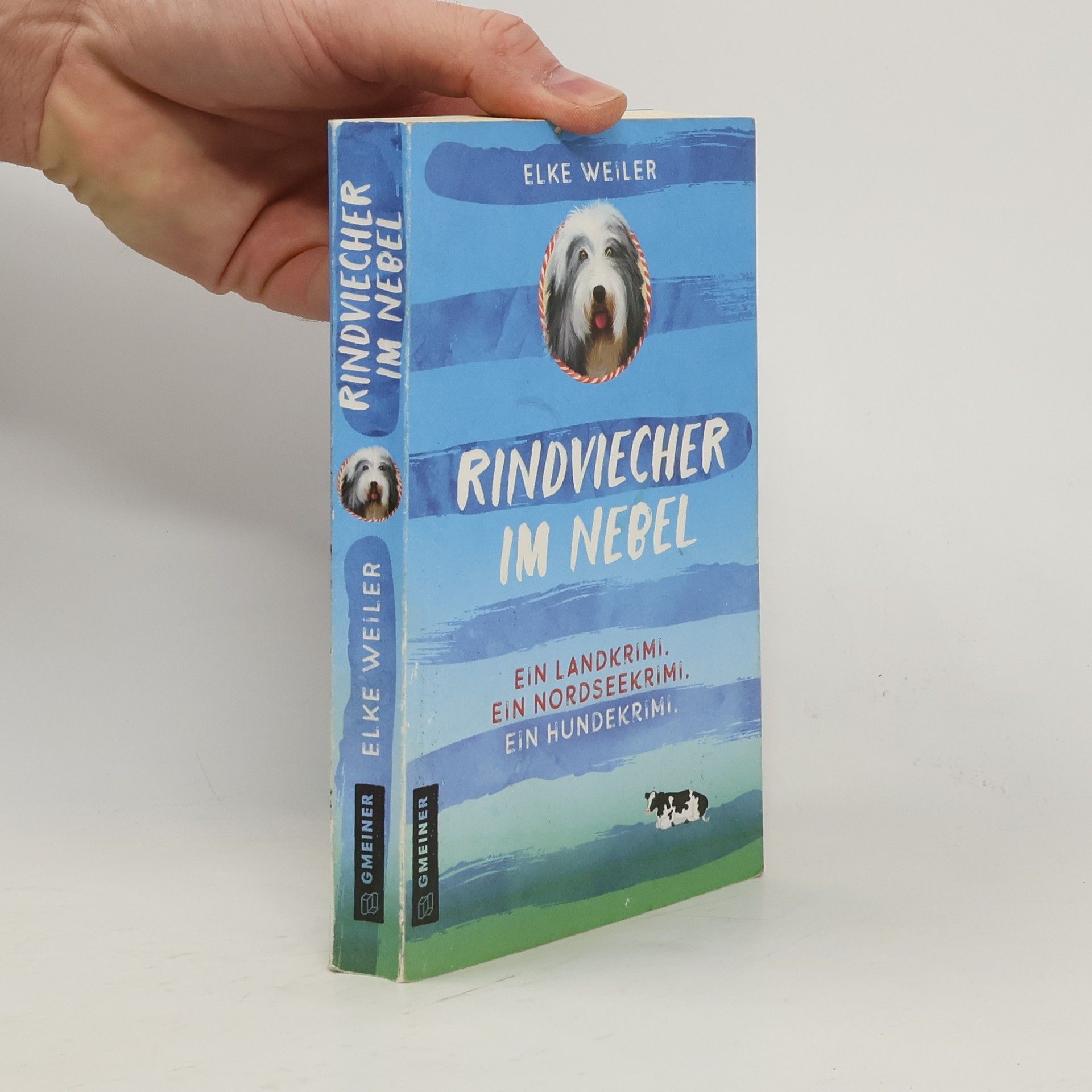 Rindviecher im Nebel