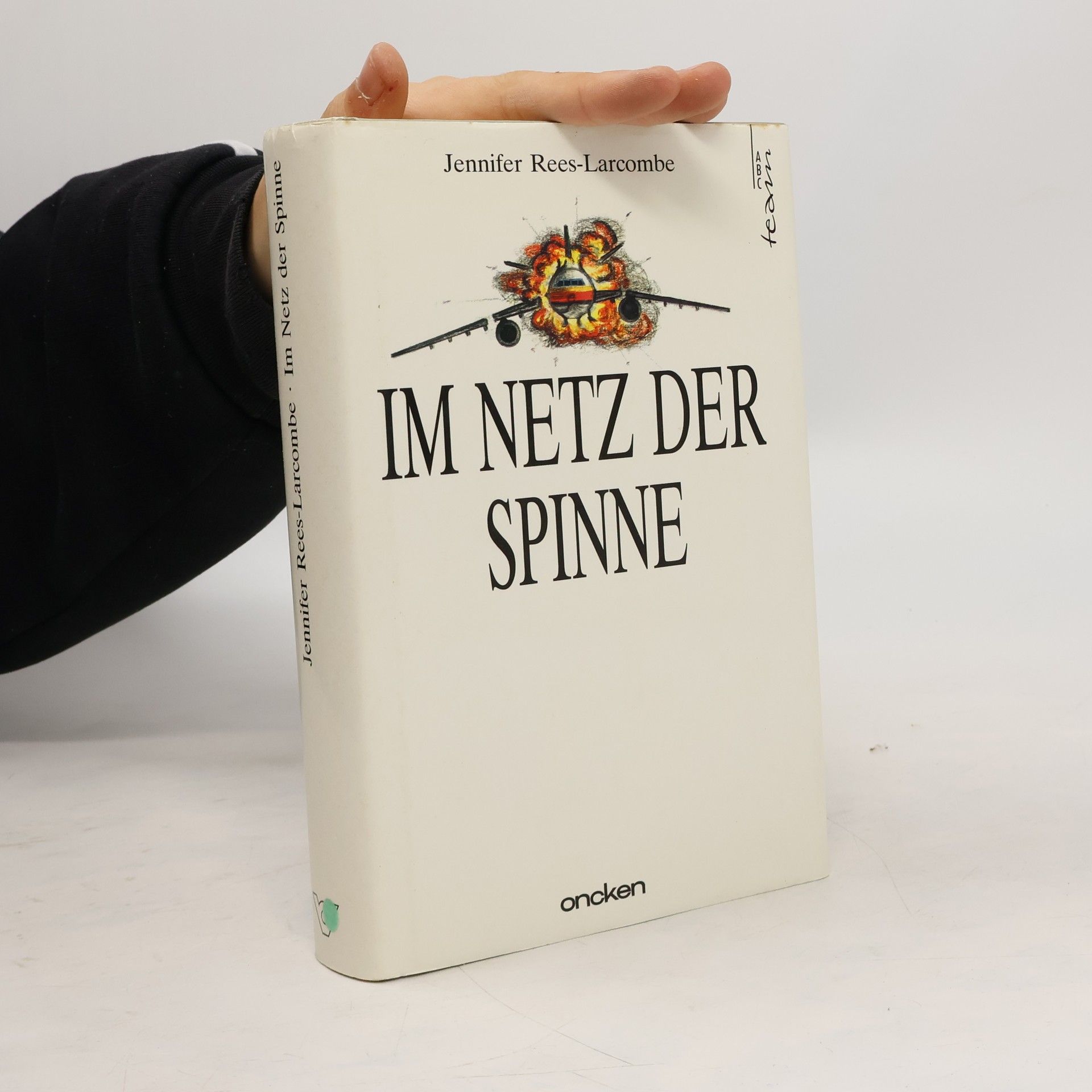 Im Netz der Spinne