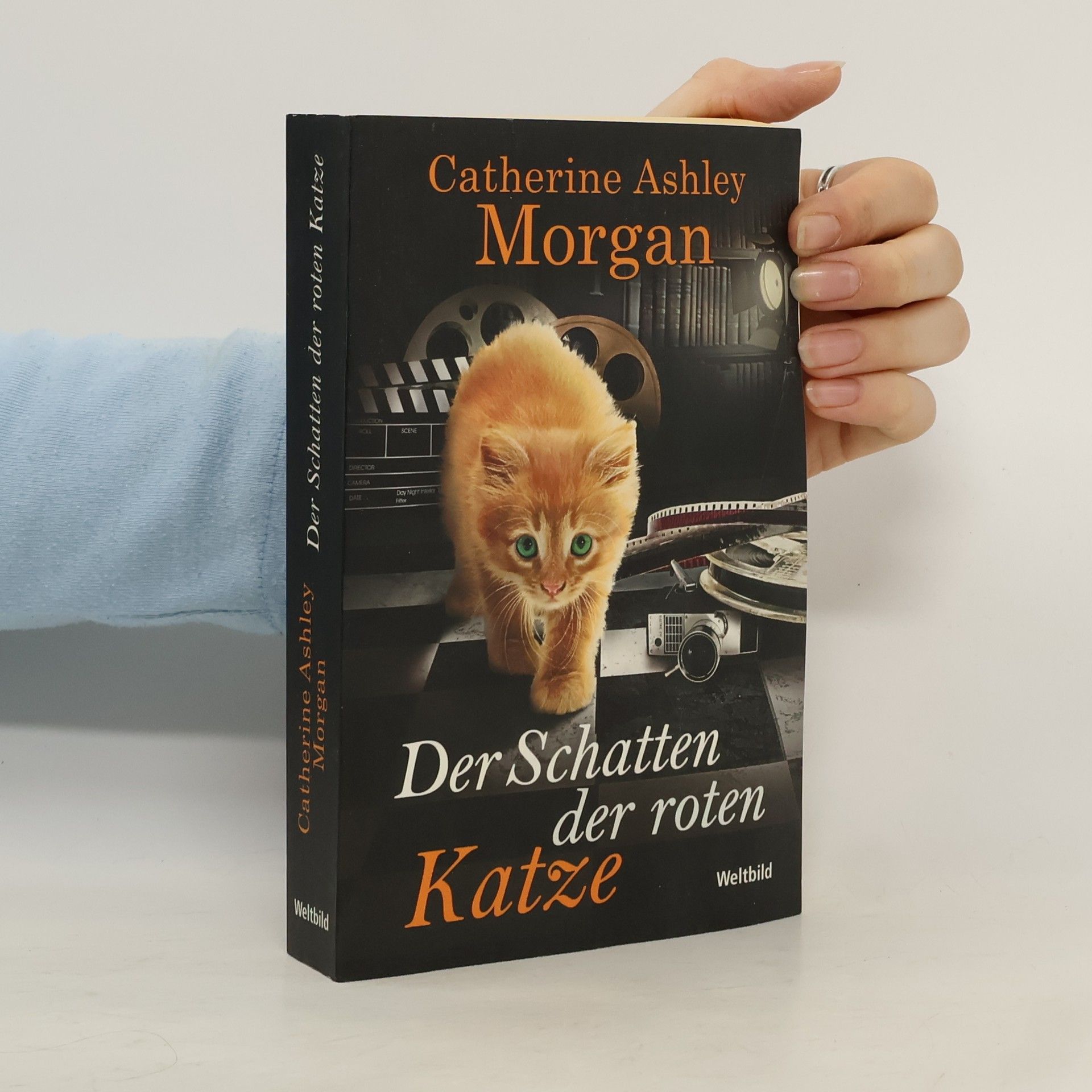 Der Schatten der roten Katze