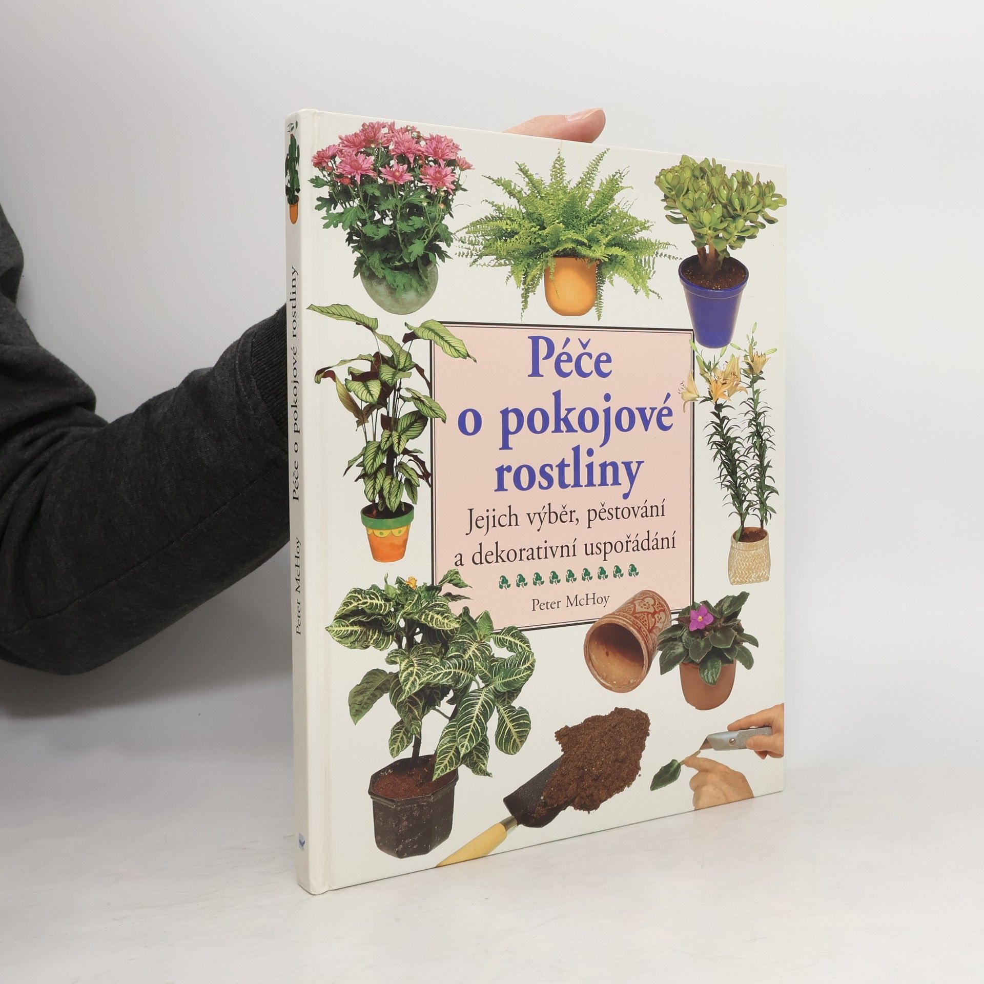 Péče o pokojové rostliny