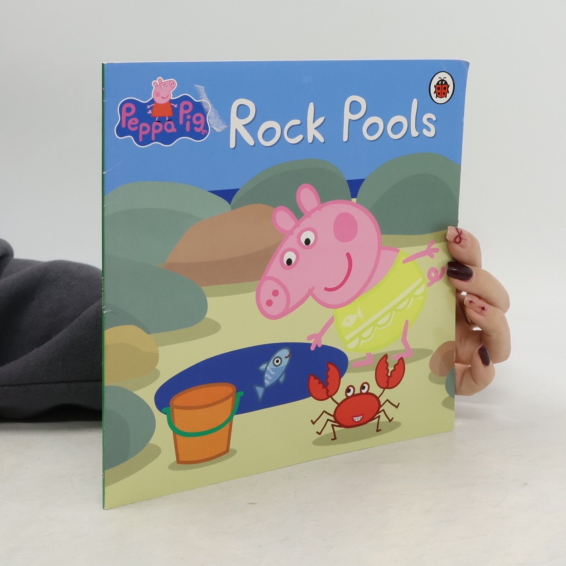 Autorenkollektiv Peppa Pig. Rock Pools