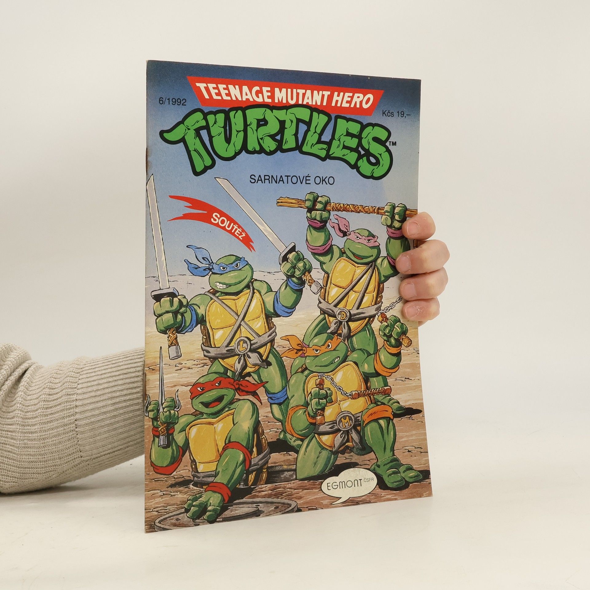 Teenage Mutant Hero Turtles #06