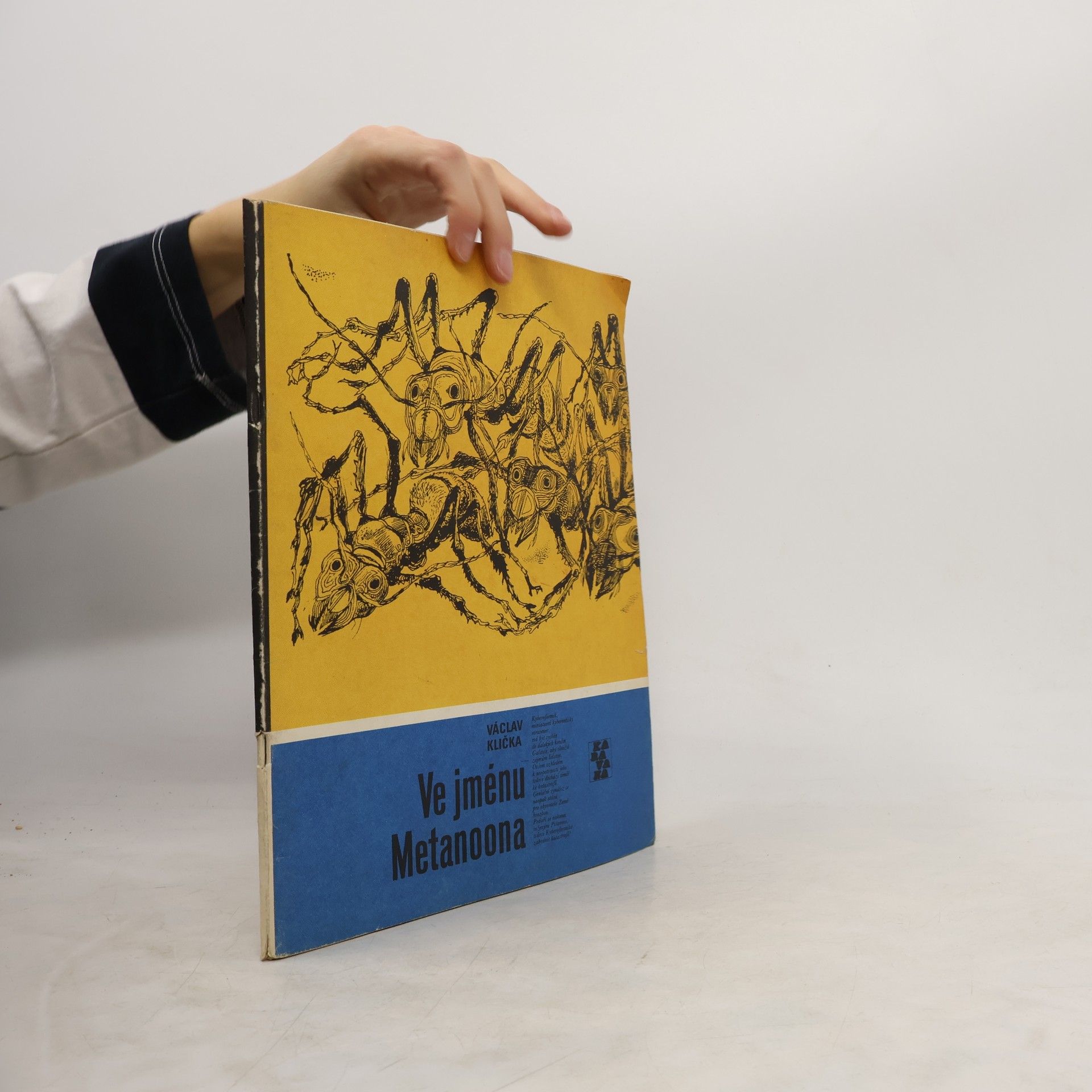 Ve jménu Metanoona