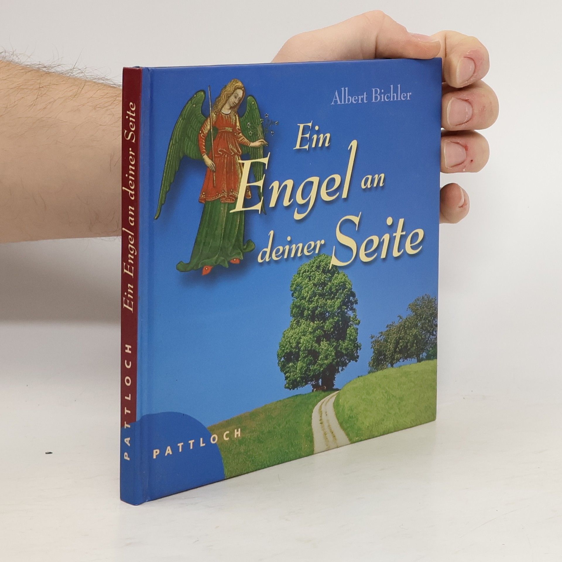 Collectif d'auteurs Ein Engel an deiner Seite