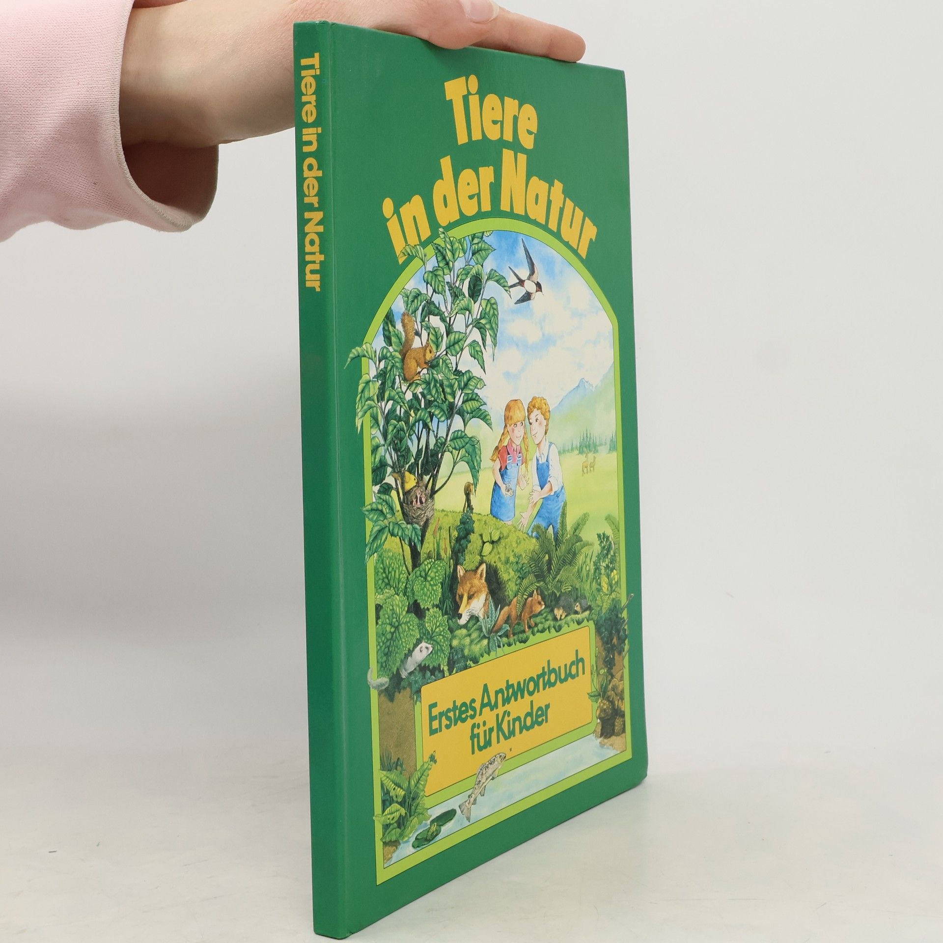 Autorenkollektiv Tiere in der Natur