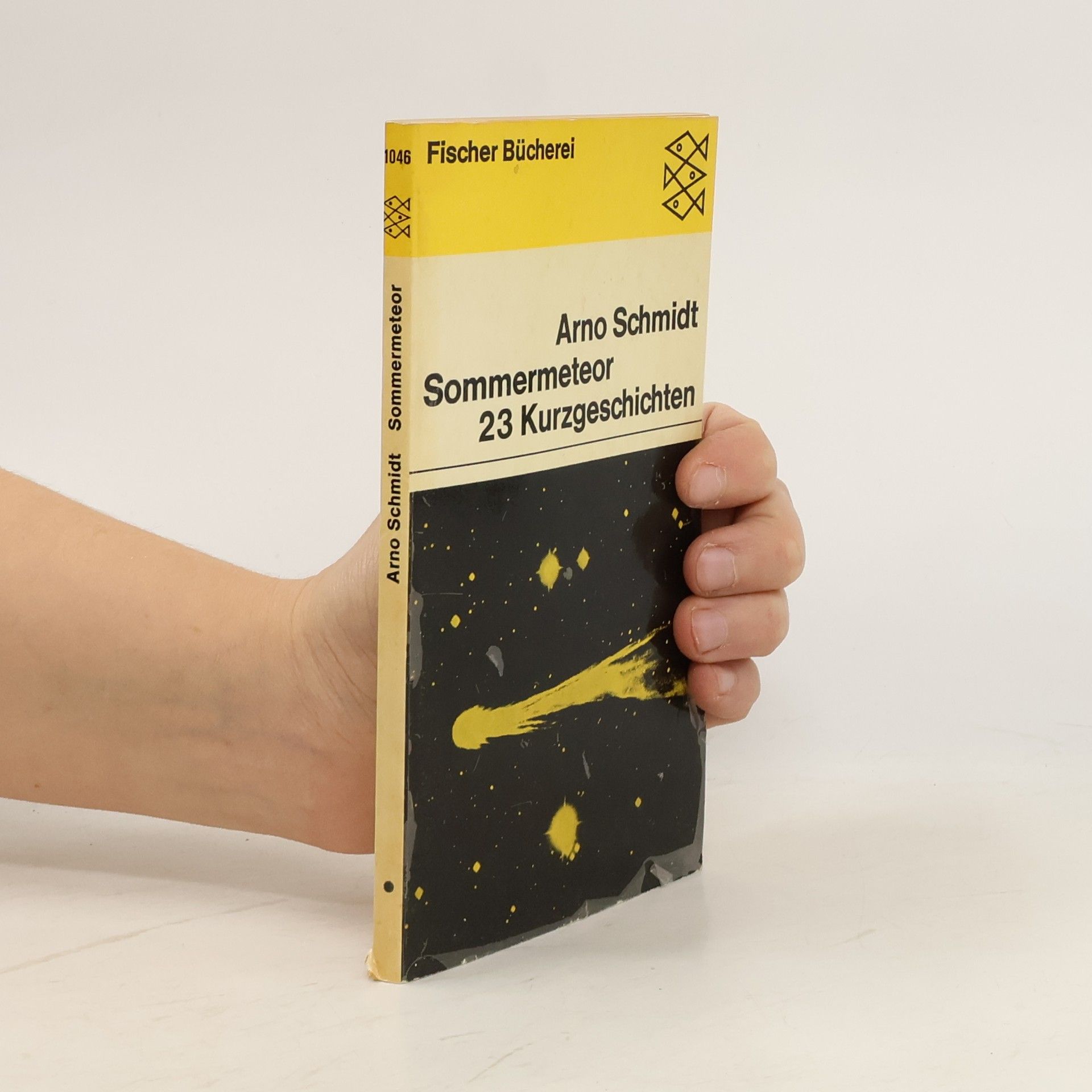 Arno Schmidt Sommermeteor